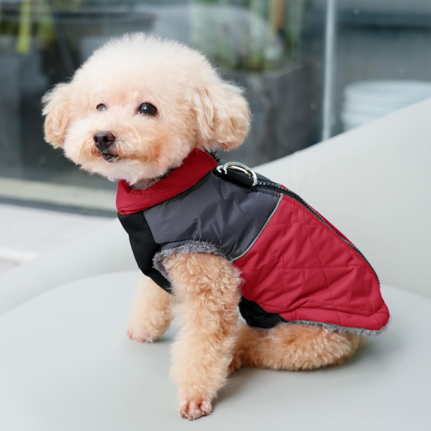 Ledander Hundekostüm Hundejacke Winterweste Jacken Hundemantel Hundepullover, Haustier Skifahren Kostüm Ärmellose, in mehreren Größen erhältlich