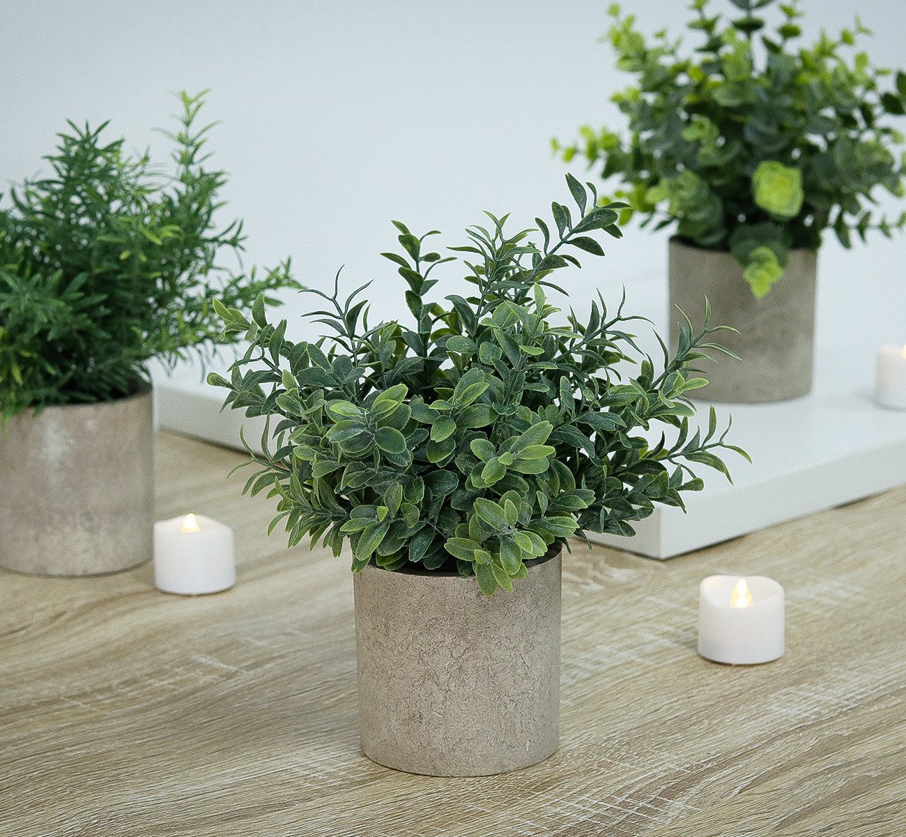 Künstliche Zimmerpflanze Mini Kunstpflanzen im Topf – Künstliche Zimmerpflanzen Deko, ElitVita, Höhe 19 cm, ElitVita Kunstpflanzen 3er Set mit Topf – Mini Deko Pflanzen