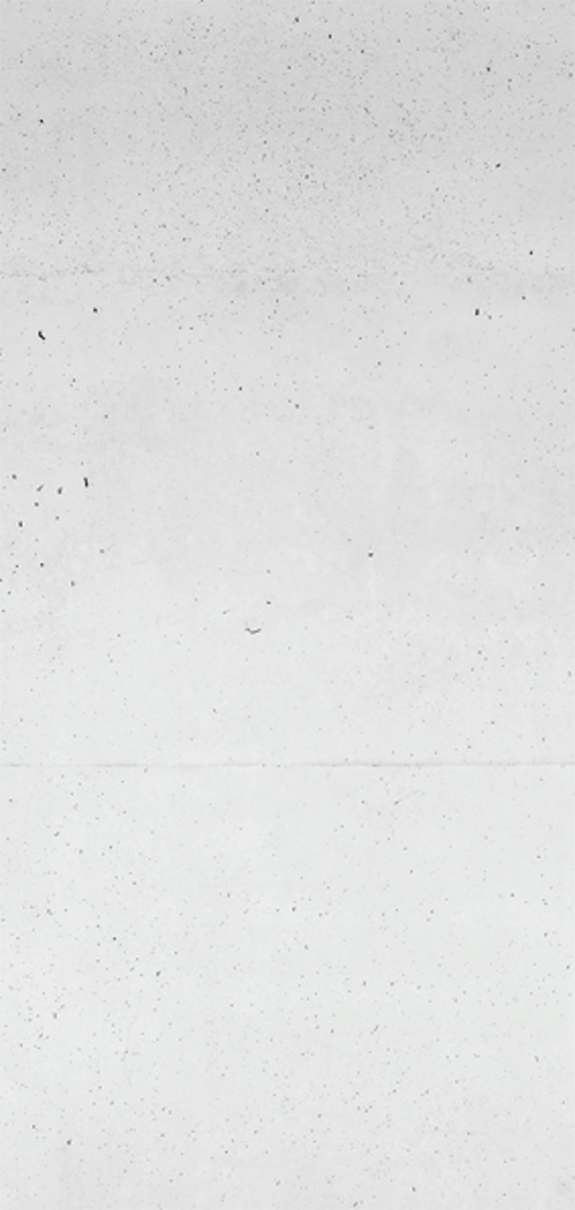 Sanotechnik Duschrückwand Sanowall, Höhe: 205 cm