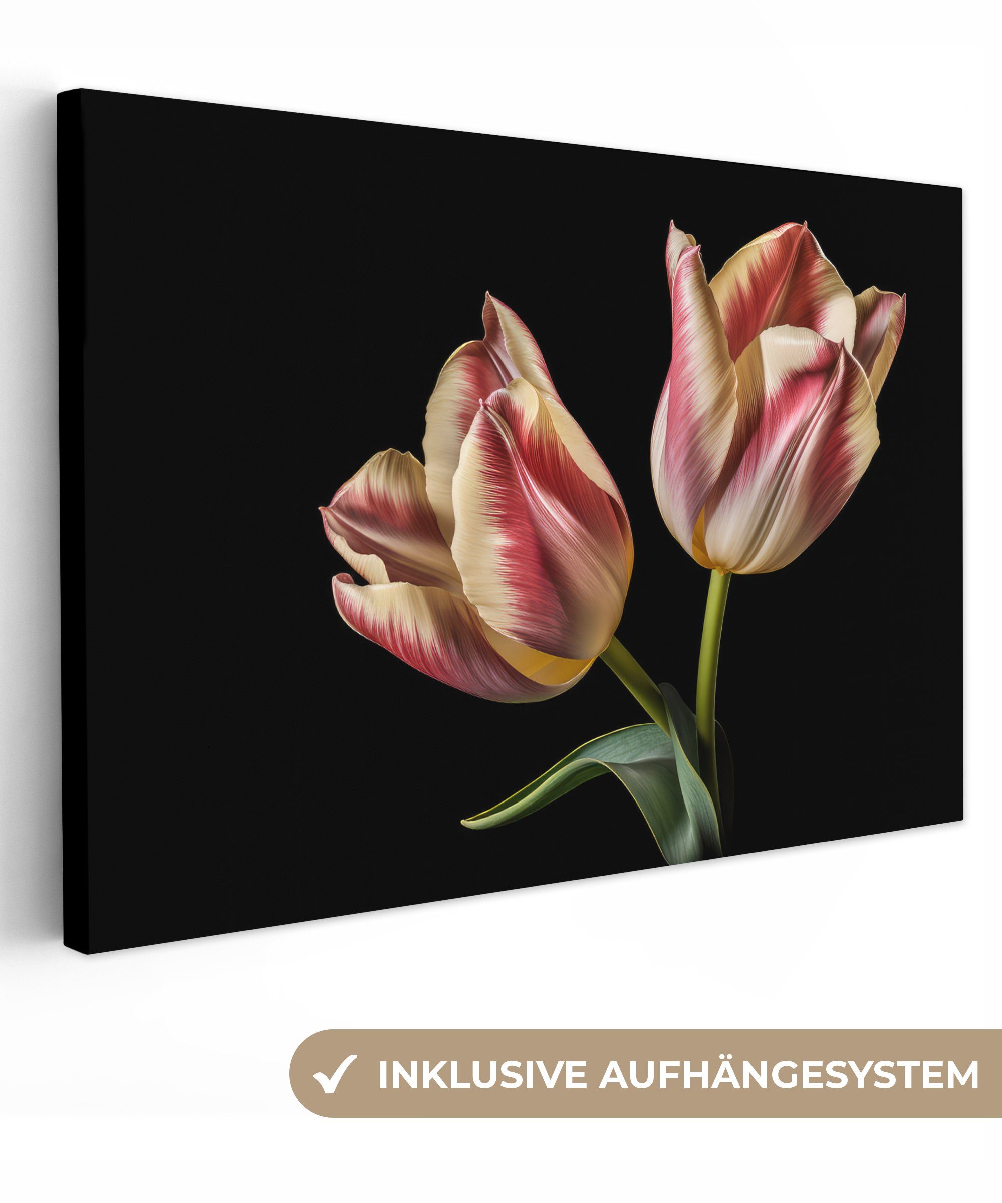 OneMillionCanvasses® Leinwandbild Tulpen - Blumen - Rosa - Weiß - Natur, (1 St), Wandbild Leinwandbilder, Aufhängefertig, Wanddeko, 30x20 cm