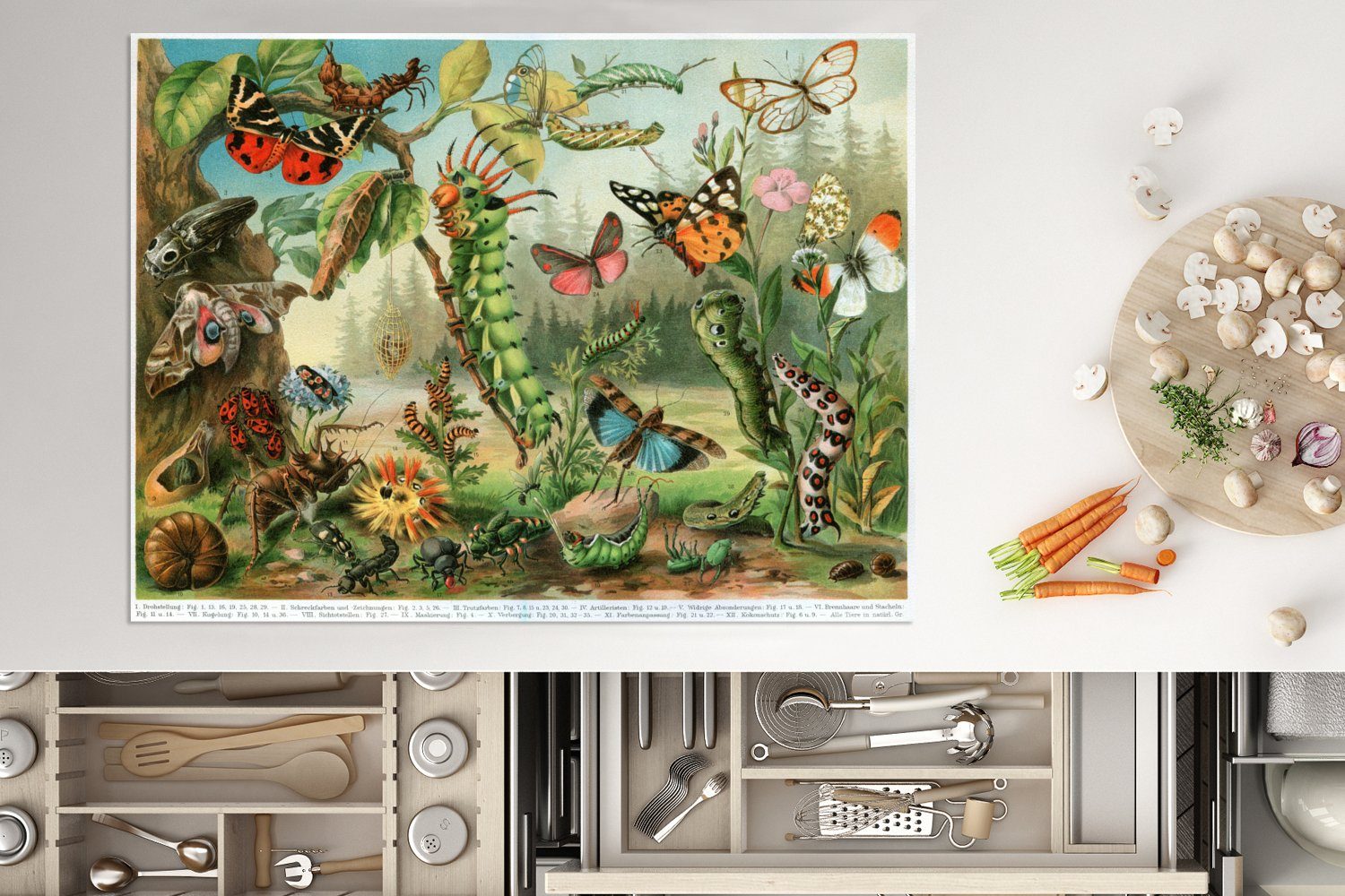 MuchoWow Herdblende-/Abdeckplatte Insekten - Illustration cm, Ceranfeldabdeckung Arbeitsfläche Natur, 70x52 Vinyl, - nutzbar, tlg), (1 Mobile