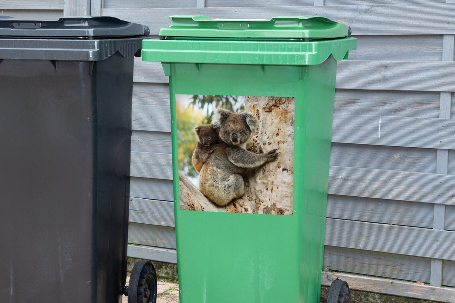 MuchoWow Wandsticker Koalas - Kind - Baum Junge - Mülleimer-aufkleber, Kinder - Mädchen Sticker, (1 St), Abfalbehälter Container, - Mülltonne