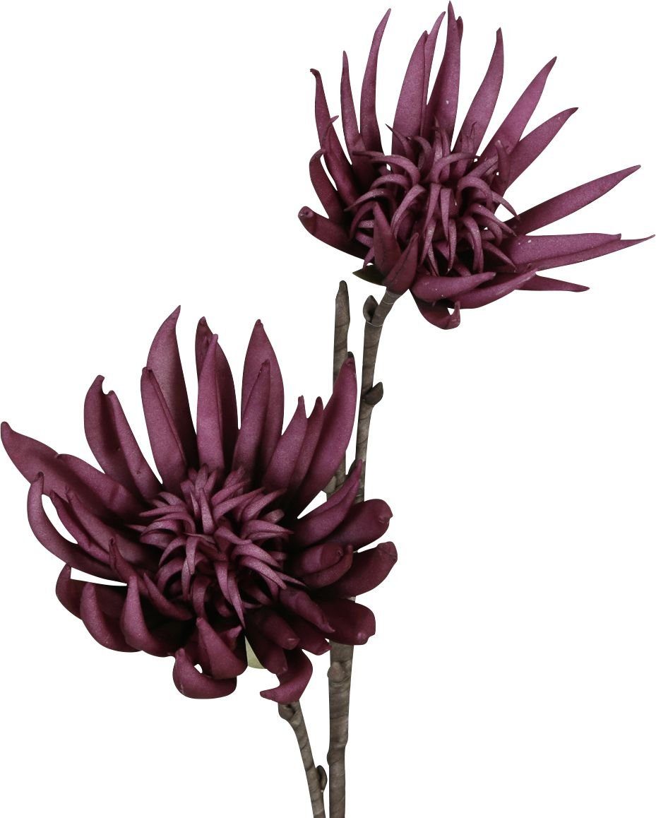DIJK Kunstpflanze Dijk 80 cm, Kaktusblüte lila