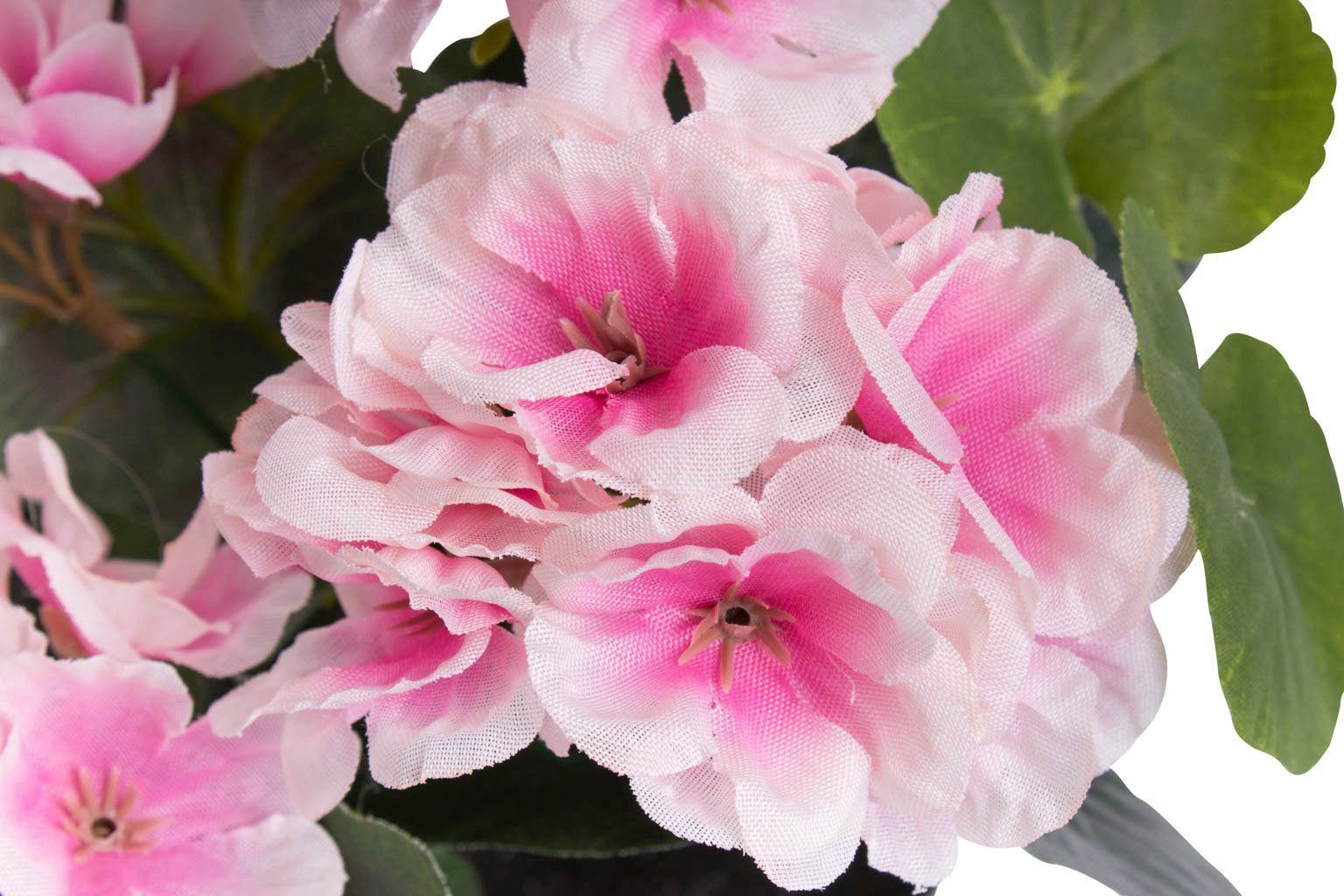 Kunstblume Geranie mit 6 Stielen Geranie, Botanic-Haus, Höhe 26 cm – Bild 2 von 2