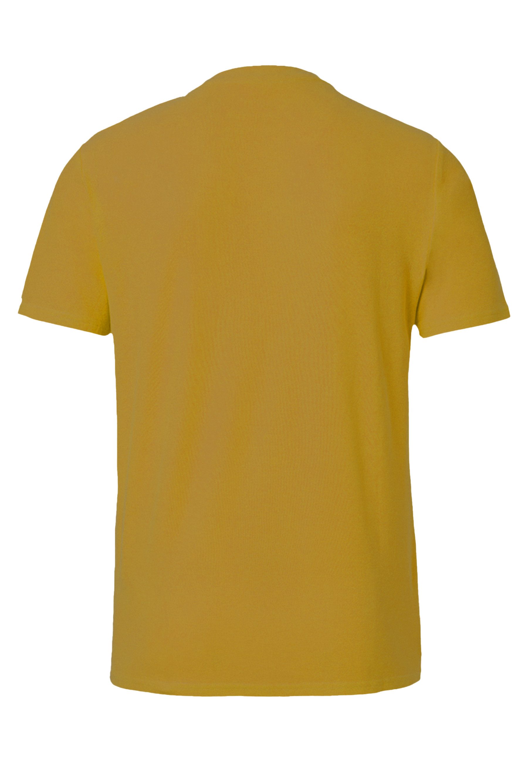 FORSBERG Poloshirt Poloshirt mit Stehkragen günstig online kaufen