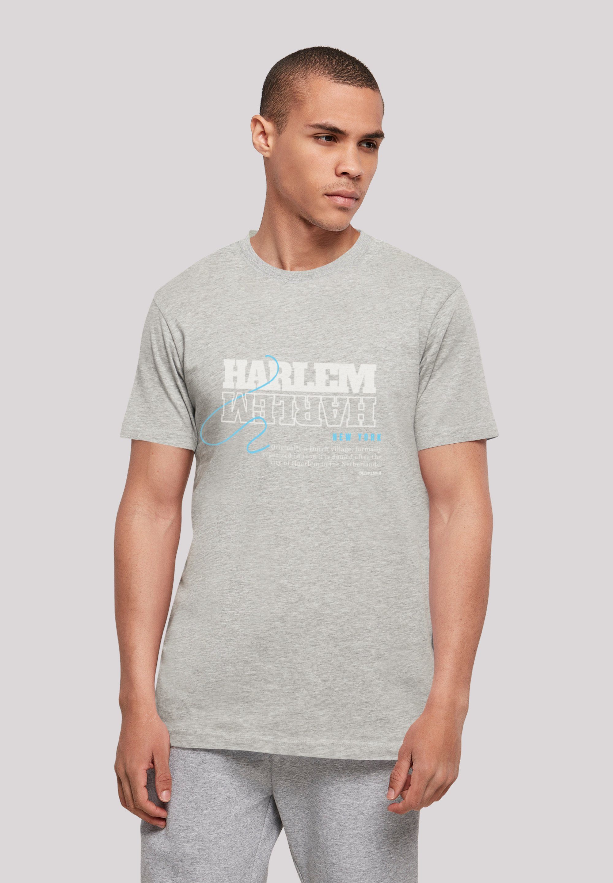 F4NT4STIC T-Shirt Harlem TEE UNISEX heather Print grey