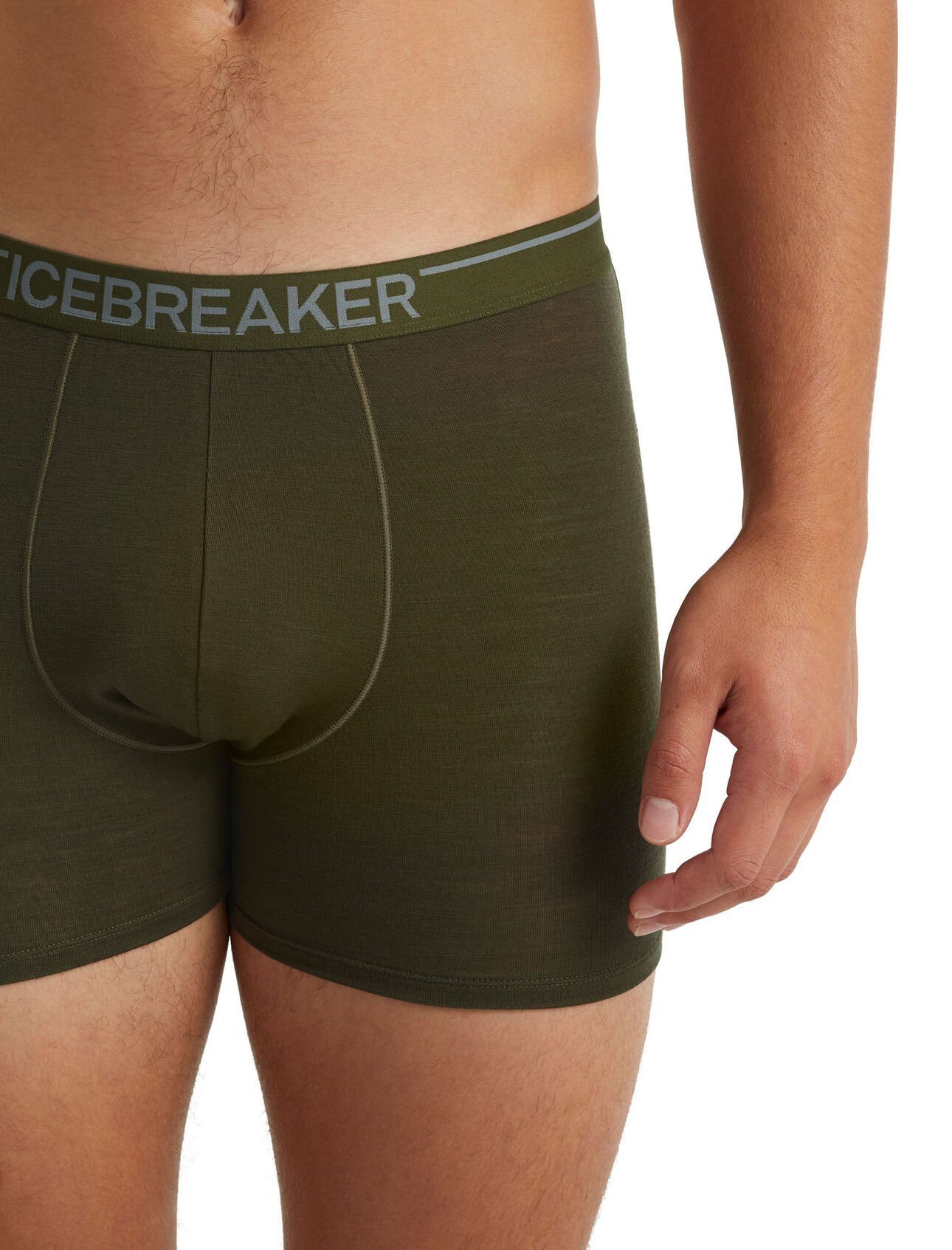 Icebreaker Boxershorts Anatomica (Merinowolle) Unterwäsche lodengrün Herren