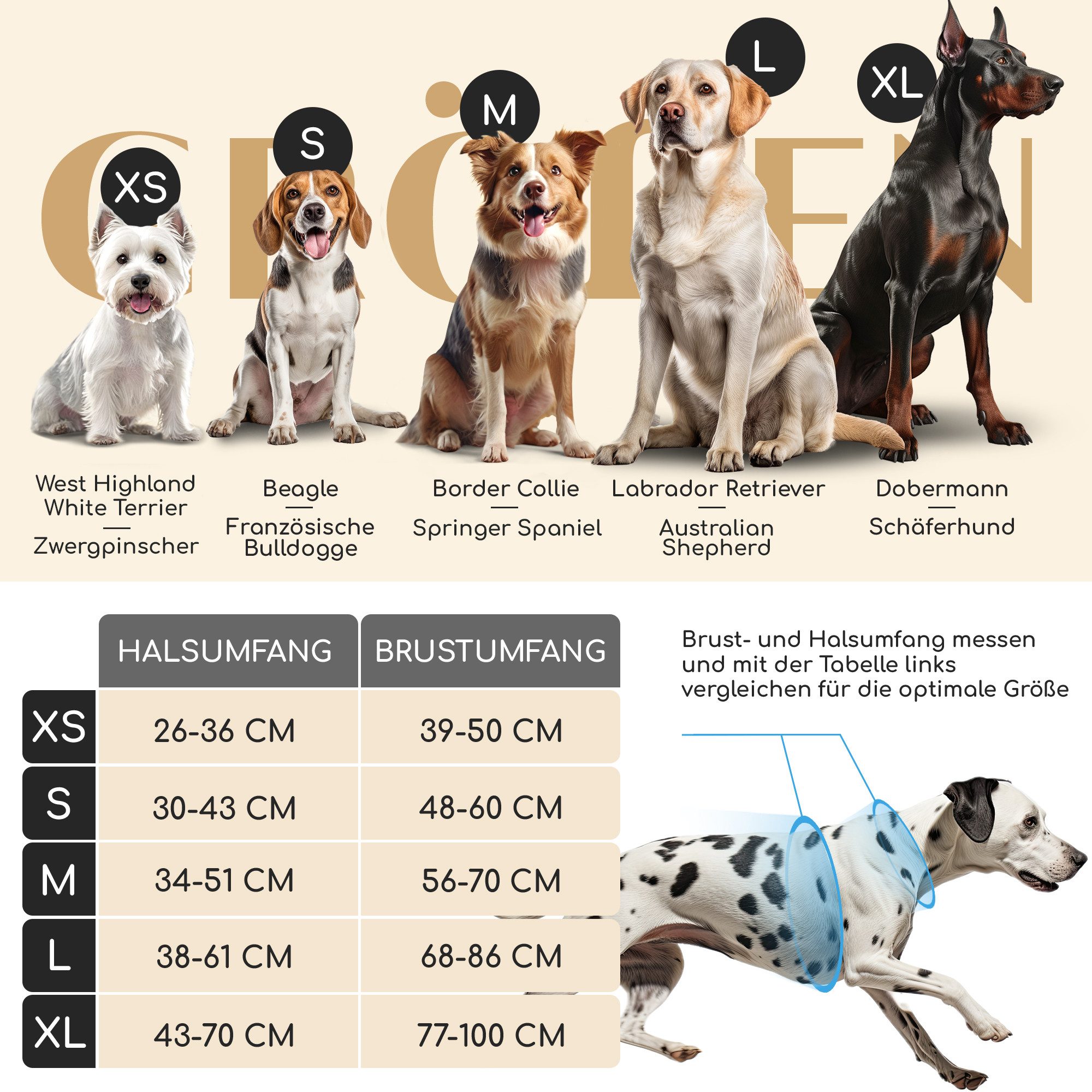 Freudentier Hunde-Geschirr mit Mesh-Polsterung, Hundegeschirr grosse günstig online kaufen