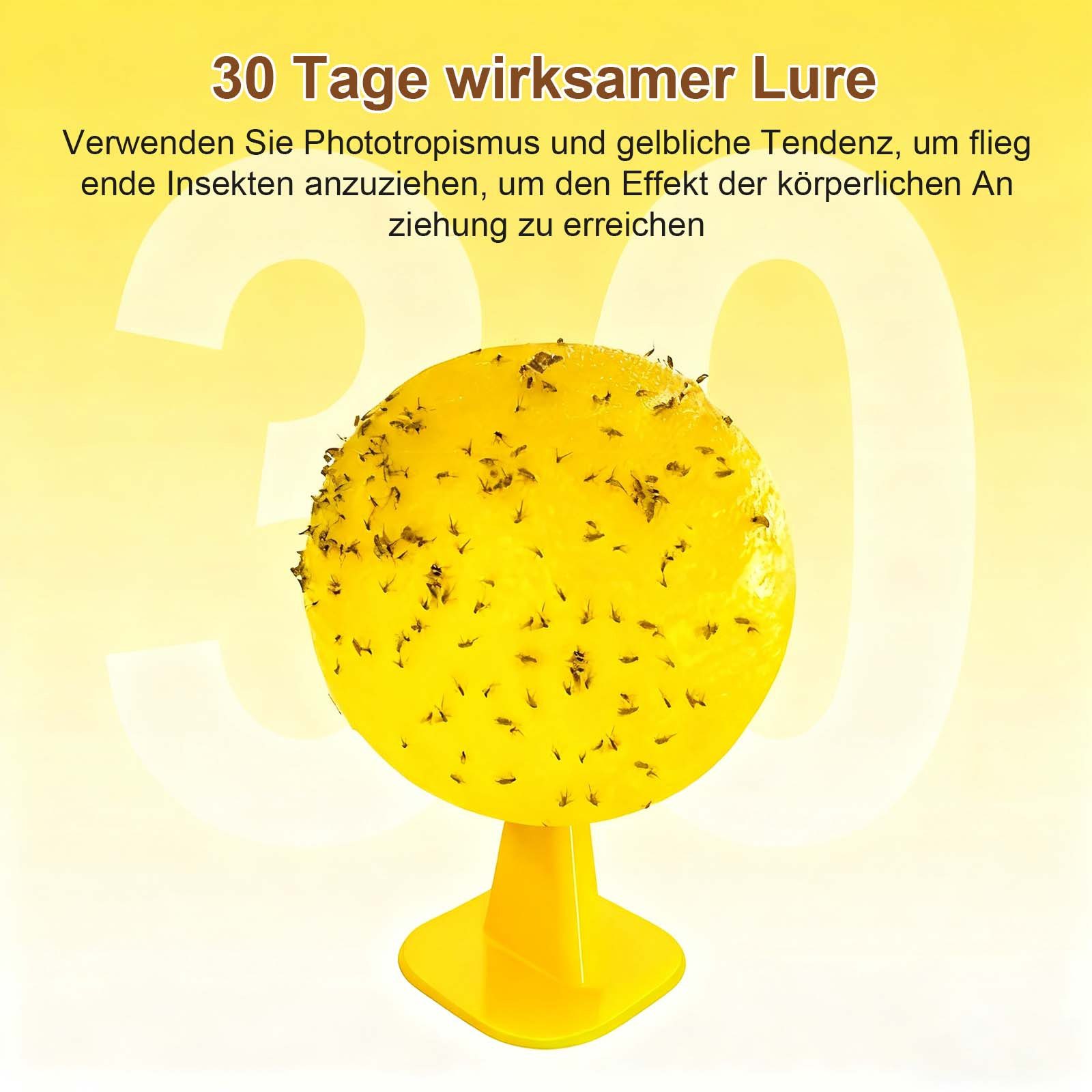 MODFU Insektenfalle Fruchtfliegenfallen klebend Insektenfänger Kugelfallen, 6 Stück klebrige Fallen für Fang von Fruchtfliegen kleinen Insekten