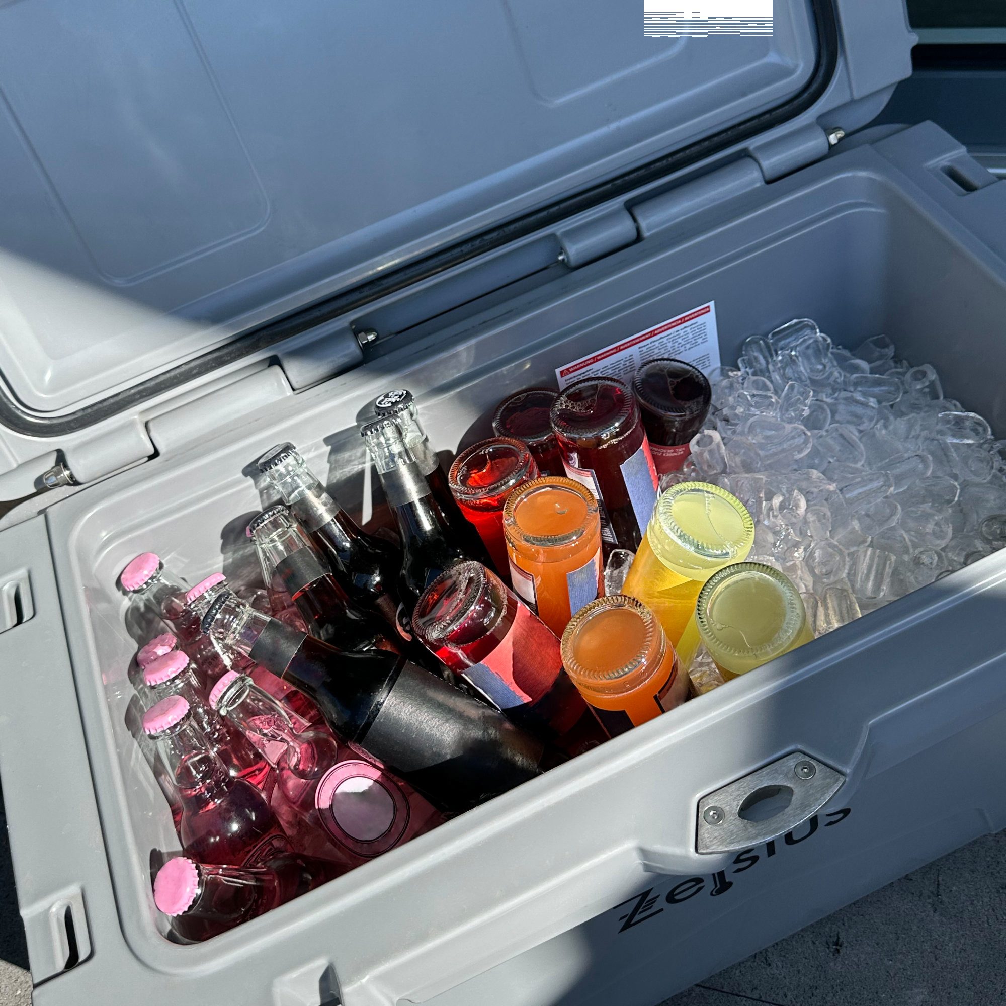 Zelsius Kühlbox Kühlbox grau 50 Liter mit Räder, Cooling Box für Auto Camping, 50 l, mit Rädern