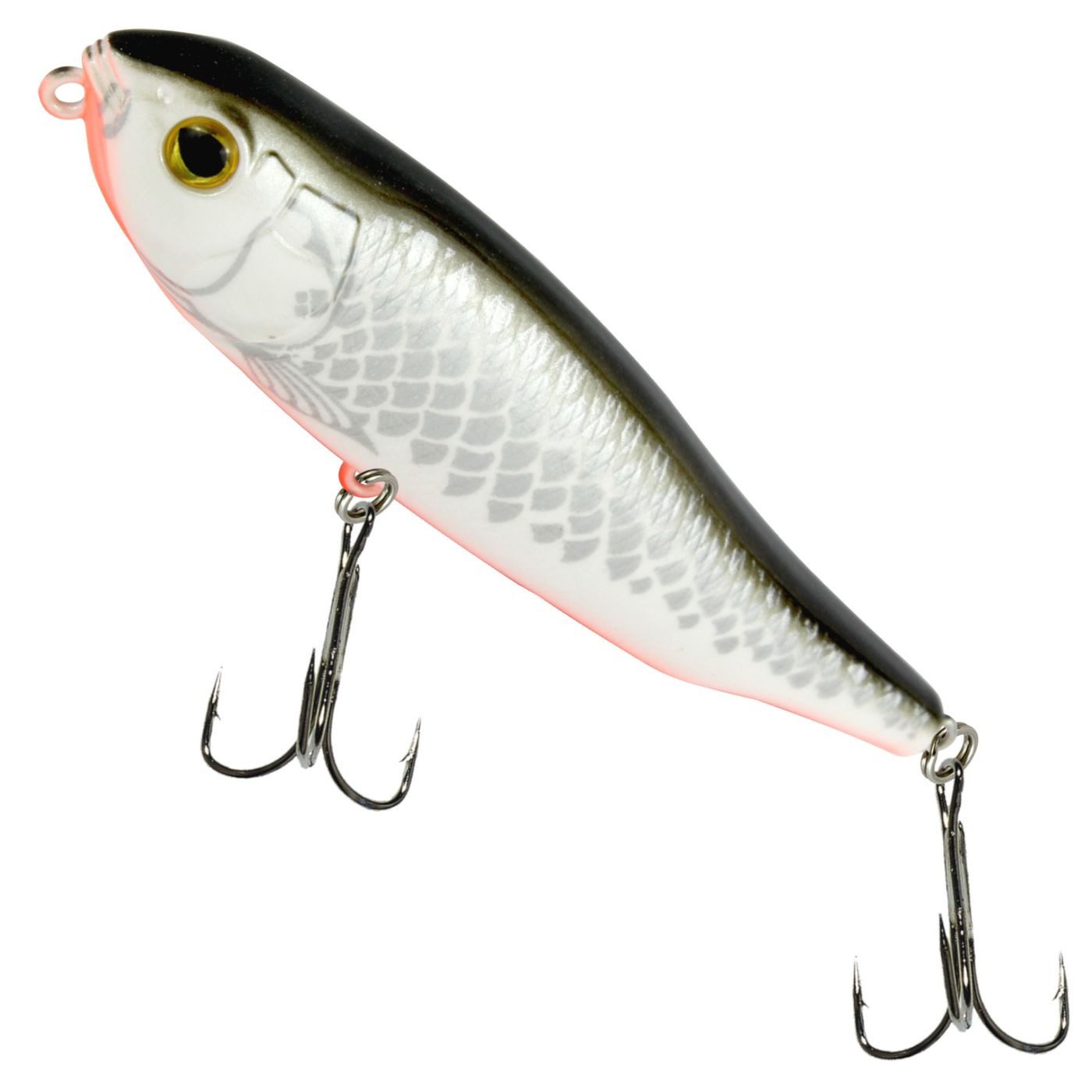 White Fish