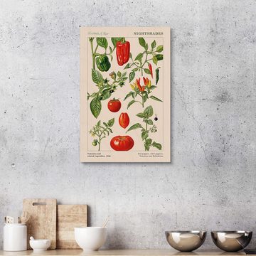 Posterlounge Holzbild Elizabeth Rice, Tomaten und andere Nachtschattengewächse, 1986, Küche Landhausstil Malerei