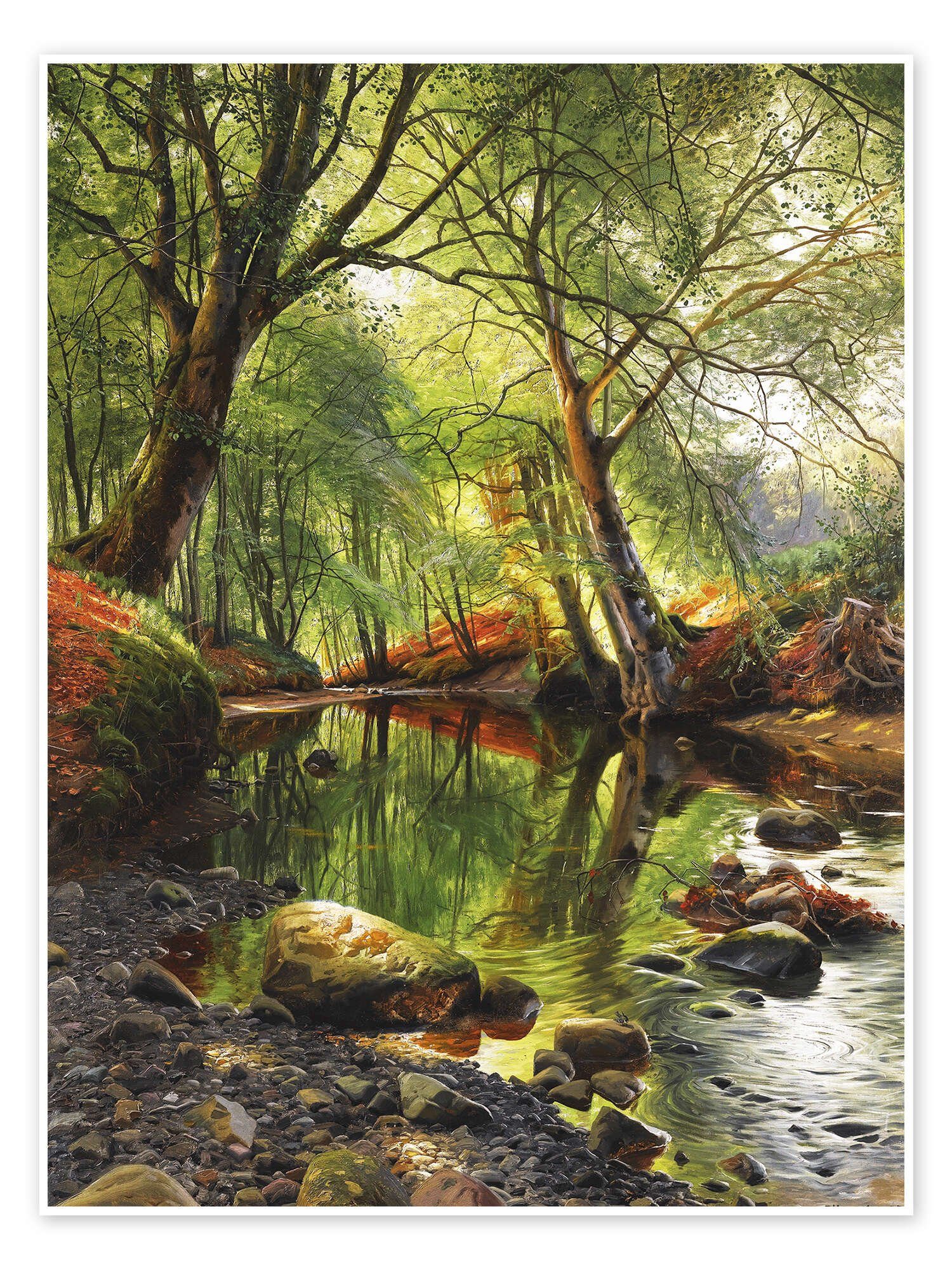 Wandbild Ein Waldbach