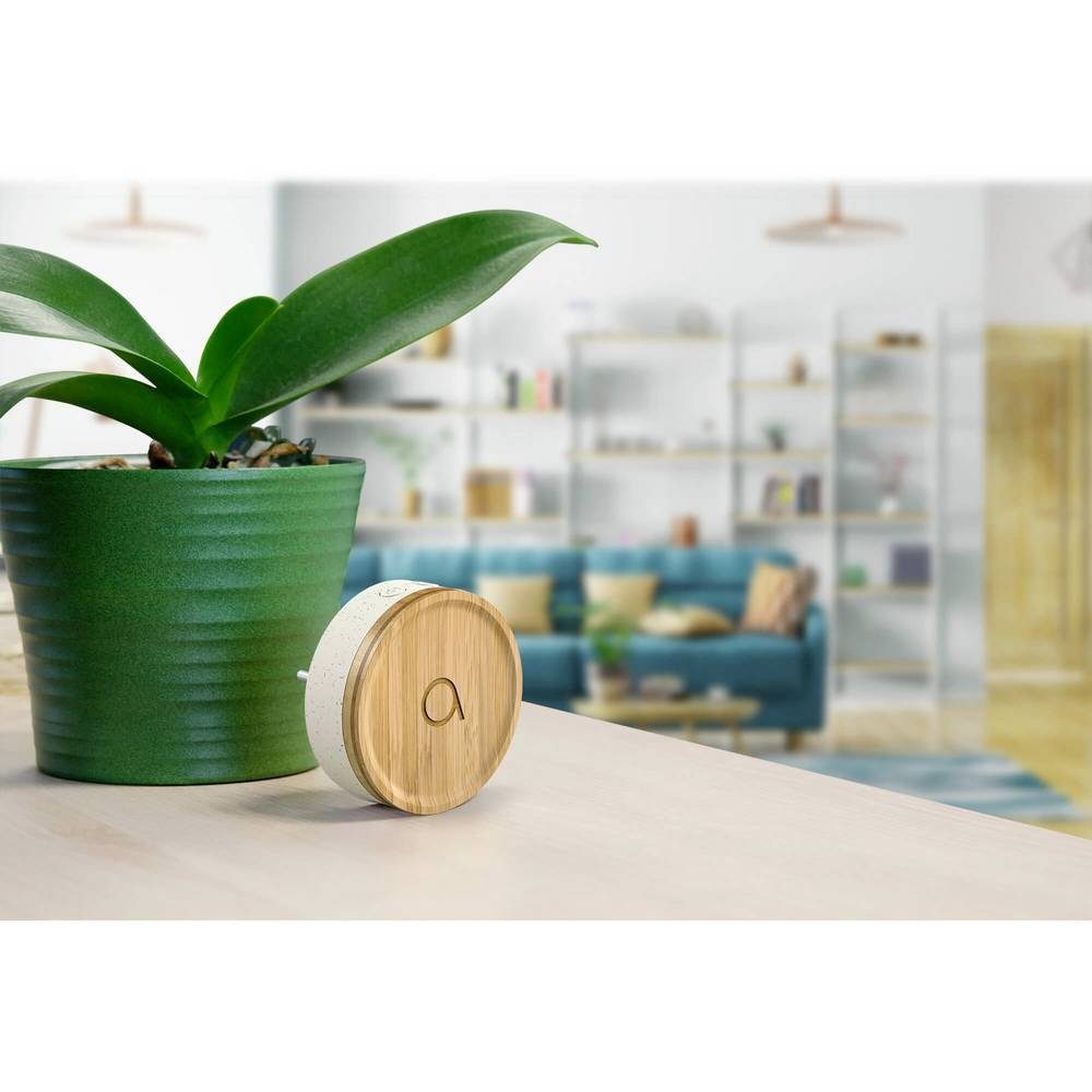 Avidsen Smart Home Türklingel AVIDSEB Funkgong 102498 (batterielos, mit Namensschild)
