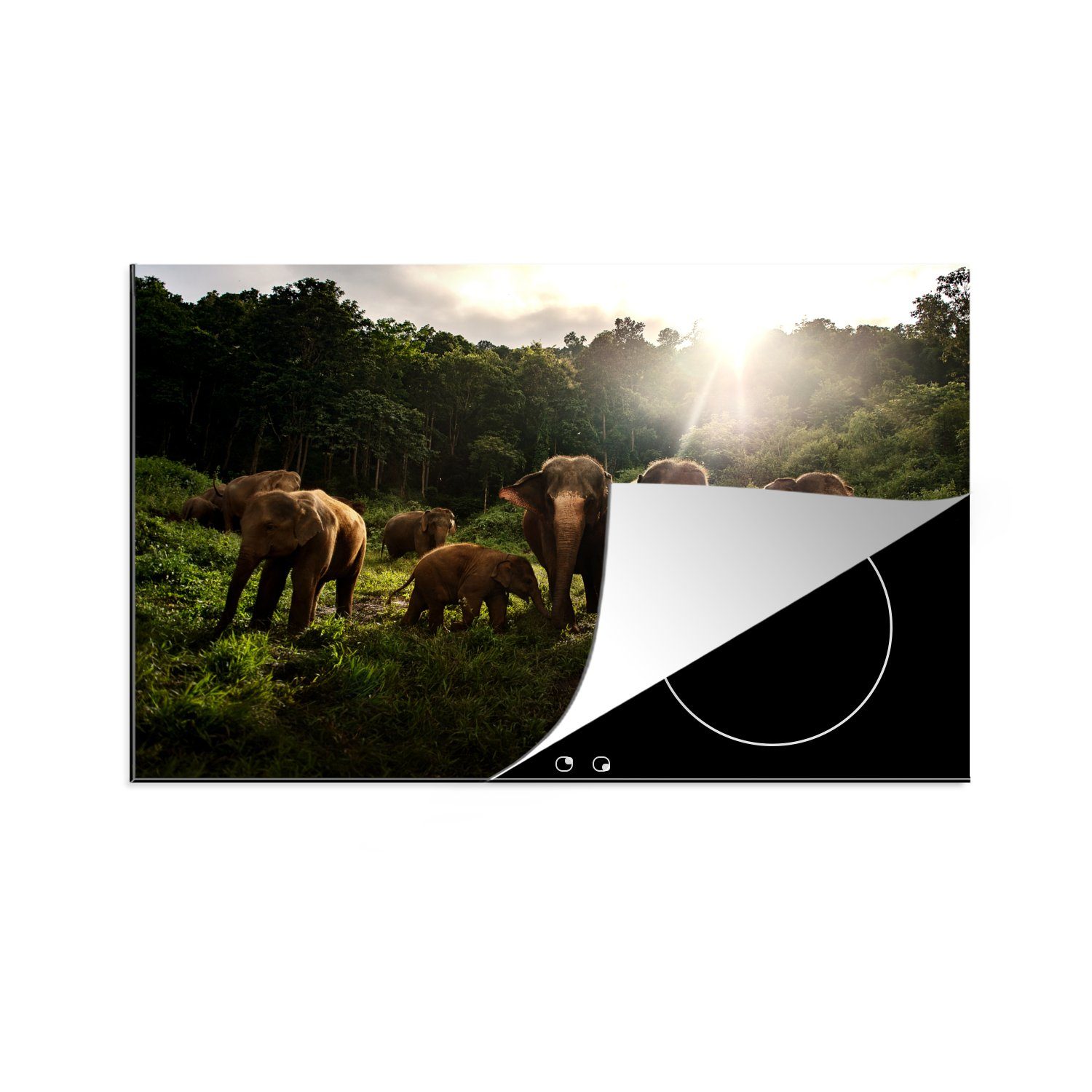 MuchoWow Herdblende-/Abdeckplatte Wald - Elefanten - Licht, Vinyl, (1 tlg), 81x52 cm, Induktionskochfeld Schutz für die küche, Ceranfeldabdeckung