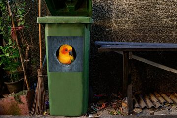 MuchoWow Wandsticker Ein Sonnensittich sitzt in einem Nest in einem Baum (1 St), Mülleimer-aufkleber, Mülltonne, Sticker, Container, Abfalbehälter