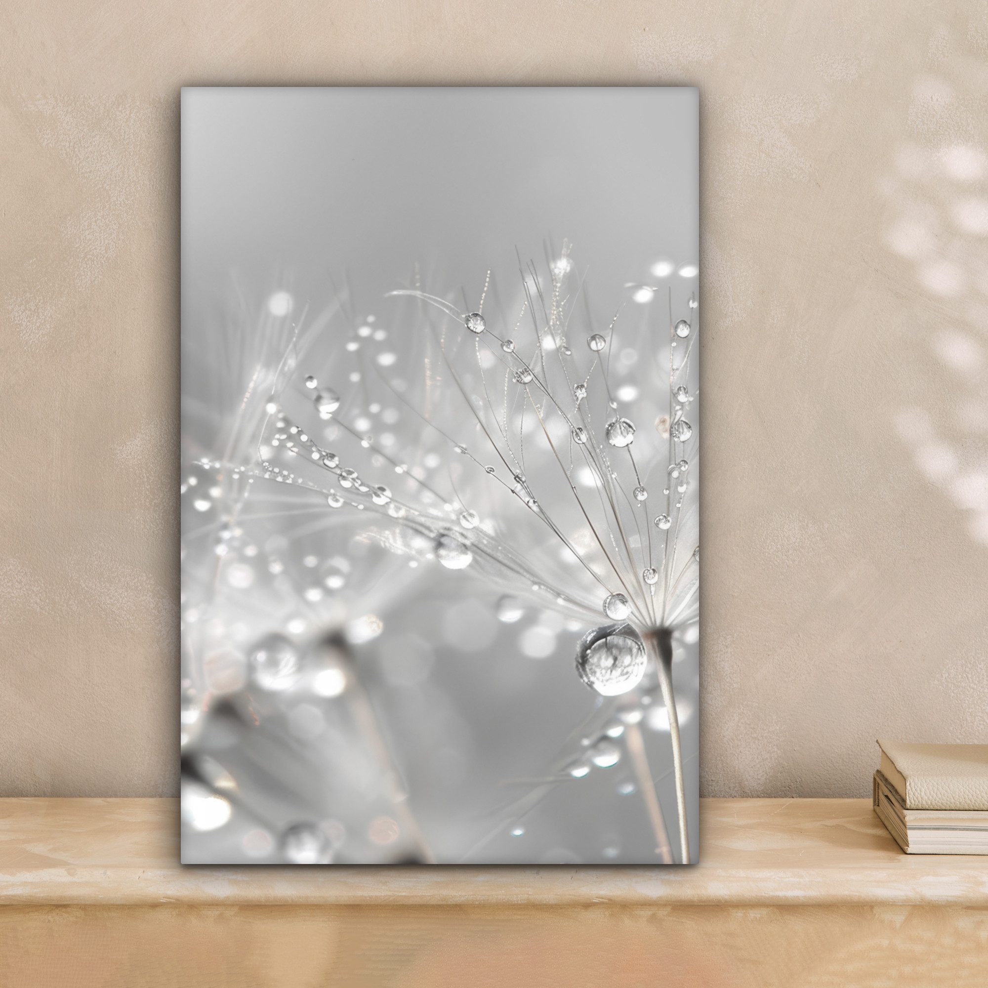 OneMillionCanvasses® Leinwandbild Löwenzahn - Wassertropfen - Stilleben - M günstig online kaufen