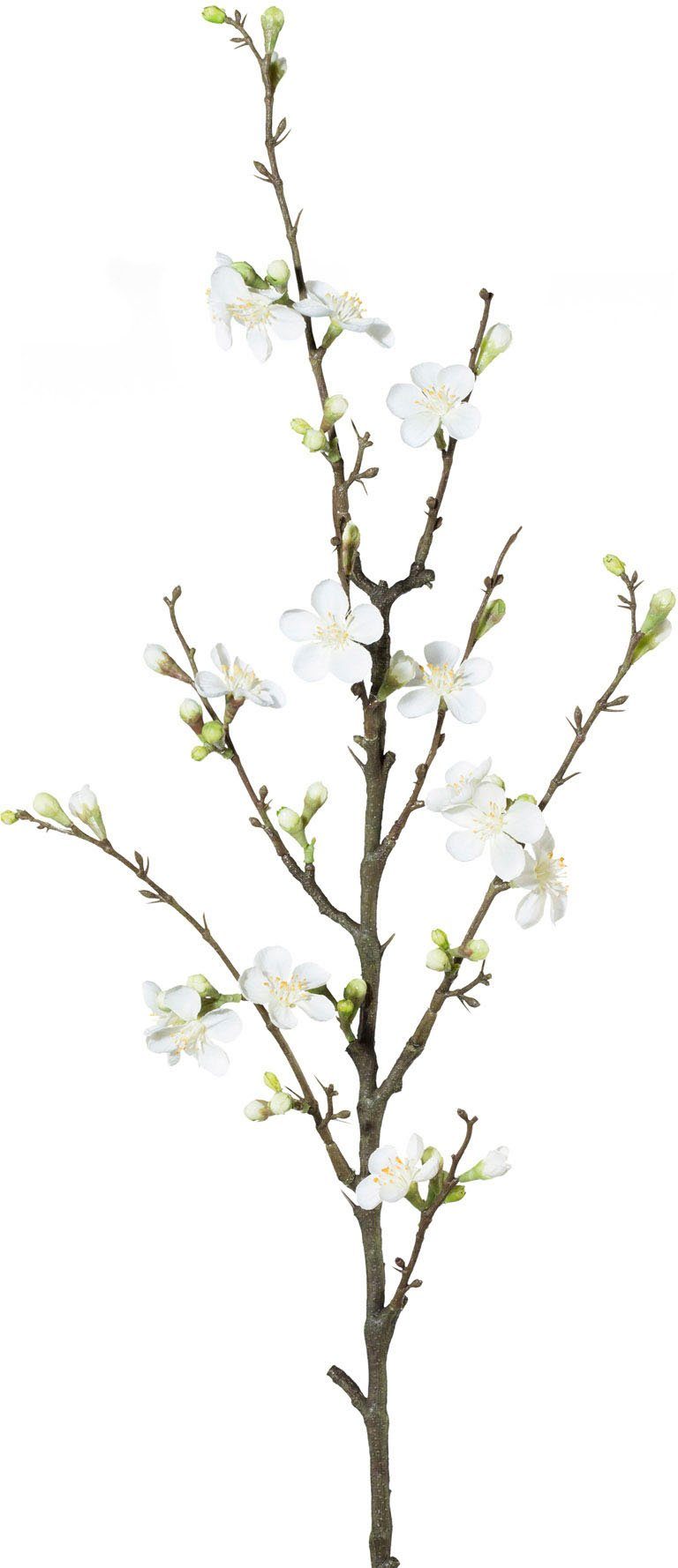 Detailansicht des Produkts 1