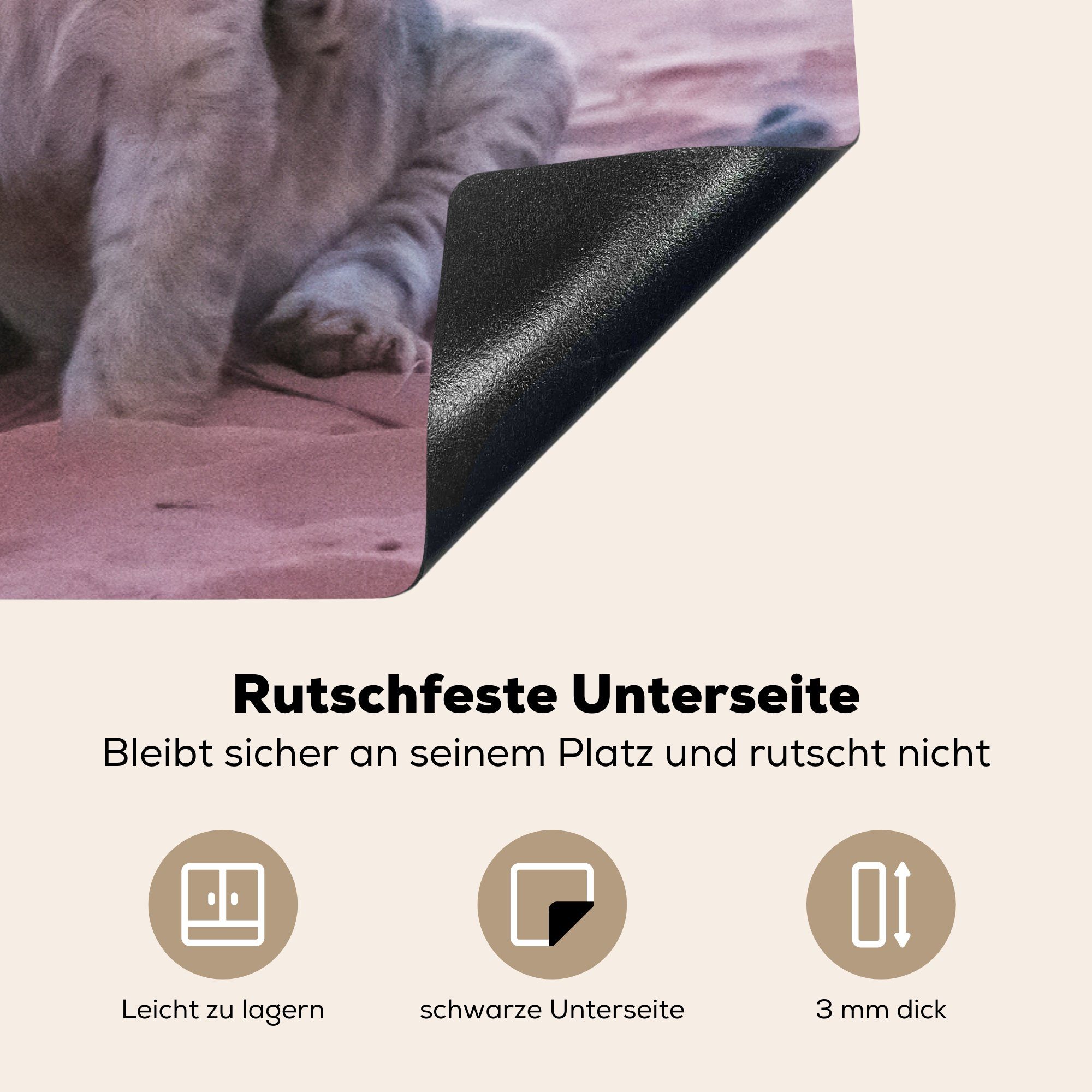 MuchoWow Herdblende-/Abdeckplatte Schutz Vinyl, für 81x52 tlg), Ceranfeldabdeckung Wild, die cm, küche, Löwe - - Löwenbaby (1 Induktionskochfeld