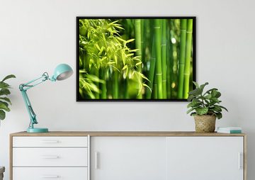 Pixxprint Leinwandbild Bambus mit Blättern, Wanddekoration (1 St), Leinwandbild fertig bespannt, in einem Schattenfugen-Bilderrahmen gefasst, inkl. Zackenaufhänger