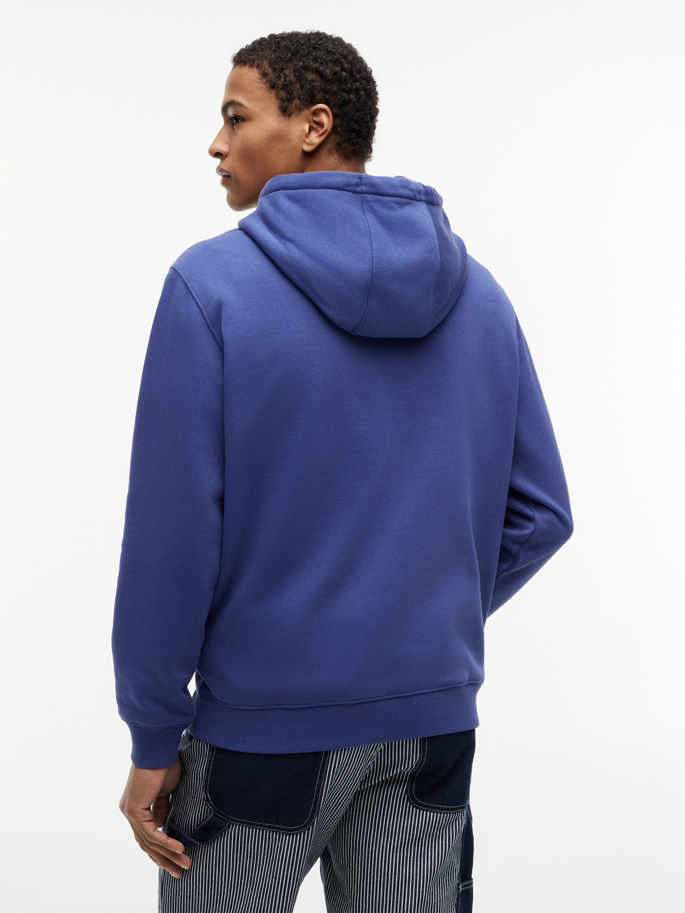 Tommy Jeans Hoodie TJM REGULAR FLAG mit bestickten Markenlogo auf Brusthöhe