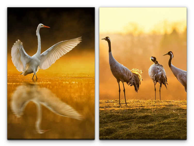 Sinus Art Leinwandbild 2 Bilder je 60x90cm Kraniche weißer Vogel Paarungstanz Frühling Japan Morgentau Natur