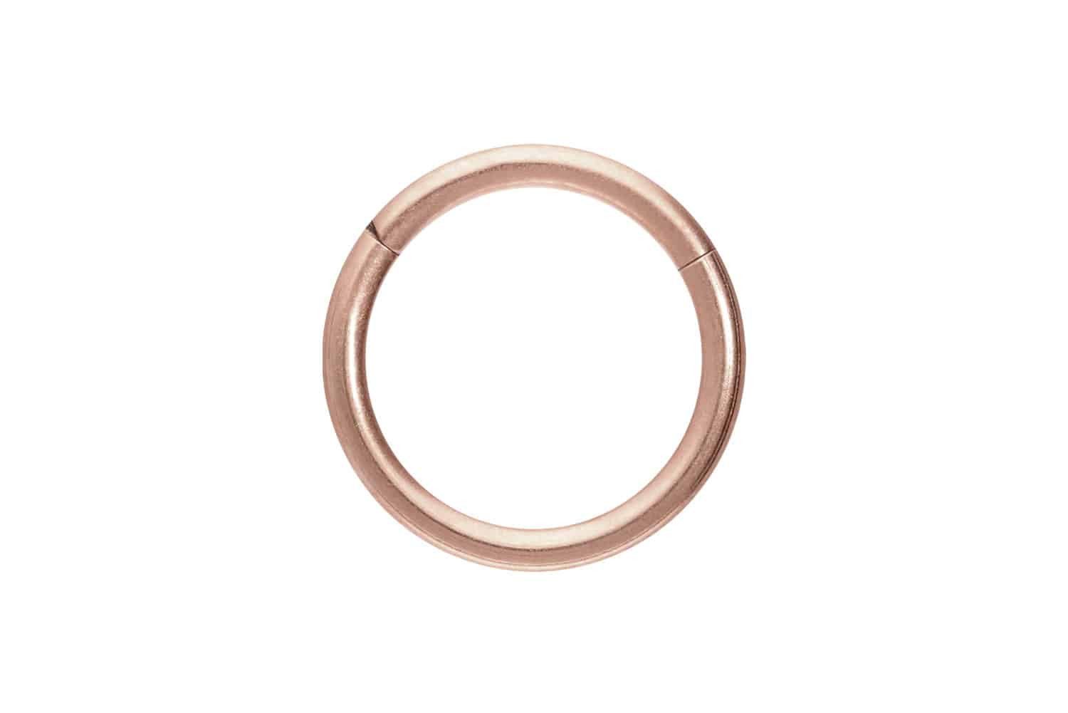 PIERCINGLINE Nasenpiercing Titan Segmentring Clicker MATT Ohrpiercing Septum Nase (Clicker, 1-tlg), Ohrpiercing für Conch, Helix, Tragus, Daith, Lobe