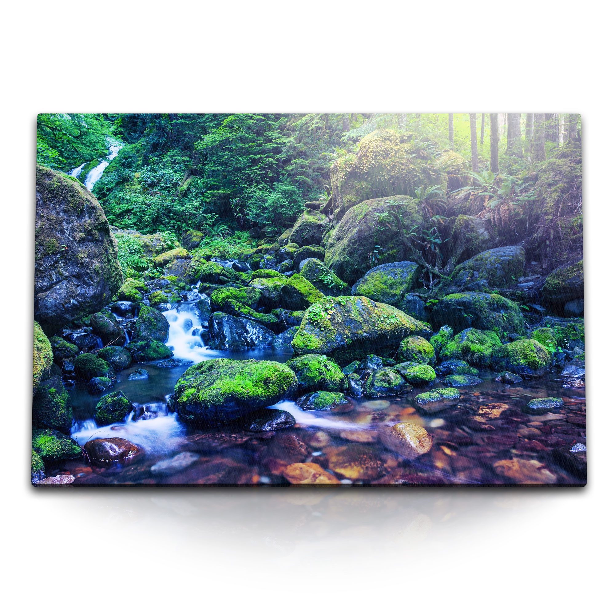 Leinwandbild 120x80cm Wandbild auf Leinwand Bach Dschungel Natur Tropisch Exotisch