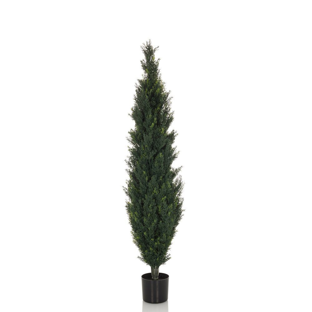Kunstpflanze Kunstpflanze CEDRUS Kunststoff