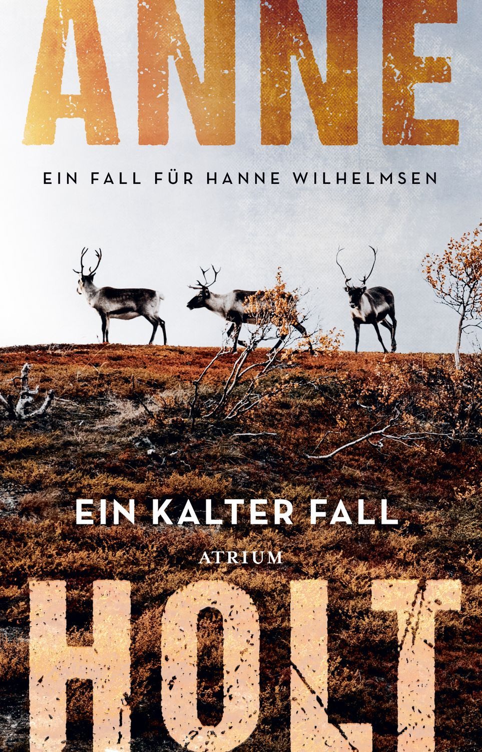 Ein kalter Fall / Anne Holt, Ein Fall für Hanne Wilhelmsen