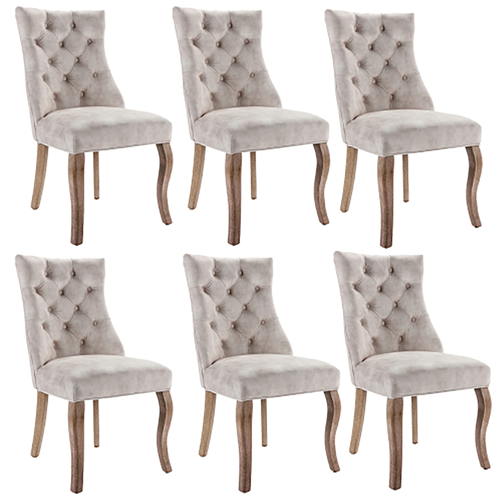 Celya Esszimmerstuhl Polsterstuhl mit Knopfsteppung, (Set, 6St) günstig online kaufen