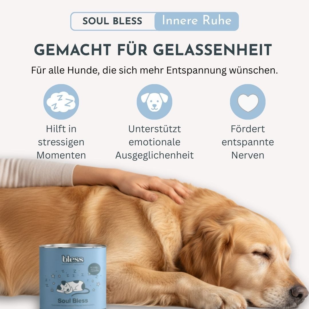 Bless Soul Bless, Beruhigungs-Snack für Hunde, Nahrungsergänzungsmittel für: Hunde, mit L-Tryptophan, Baldrian und Insektenprotein, allergikerfreundlich