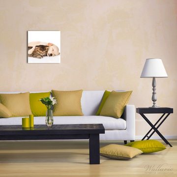 Wallario Glasbild, Katze und Hund in Harmonie - Kuschelnde Tiere, in verschiedenen Ausführungen