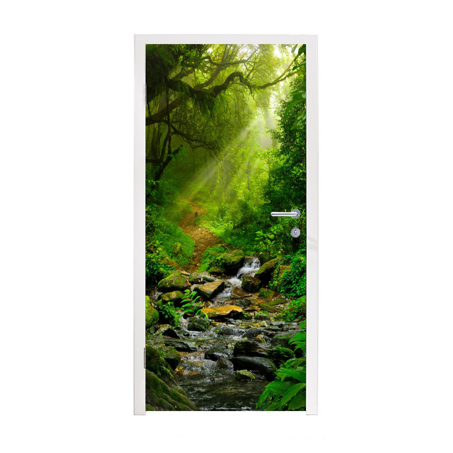 MuchoWow Türtapete Dschungel - Wasser - Laub - Sonne - Natur, Matt, bedruckt, (1 St), Fototapete für Tür, Türaufkleber, 75x205 cm
