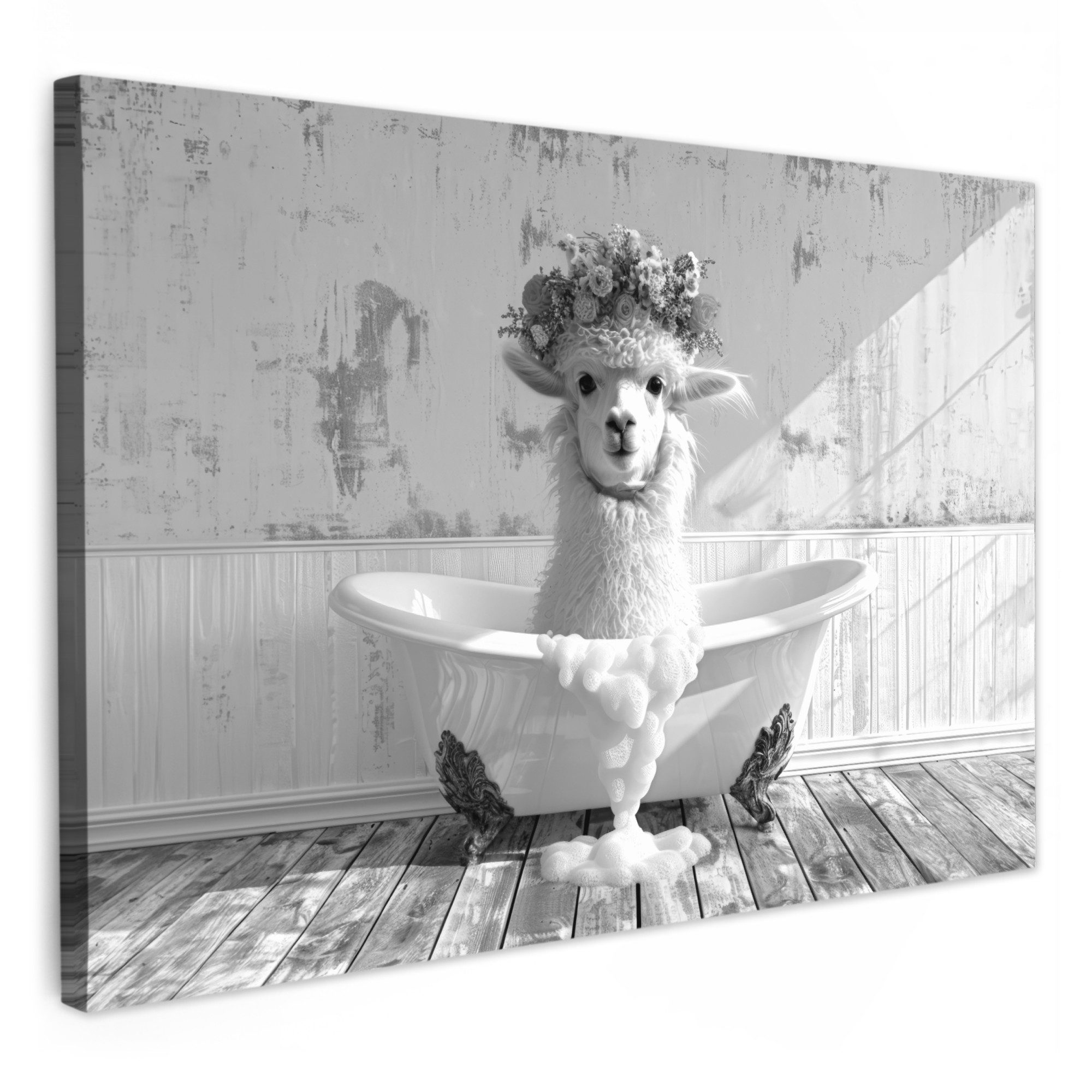 OneMillionCanvasses® Leinwandbild Alpaka - Blumen - Tier - Badewanne - Schw günstig online kaufen
