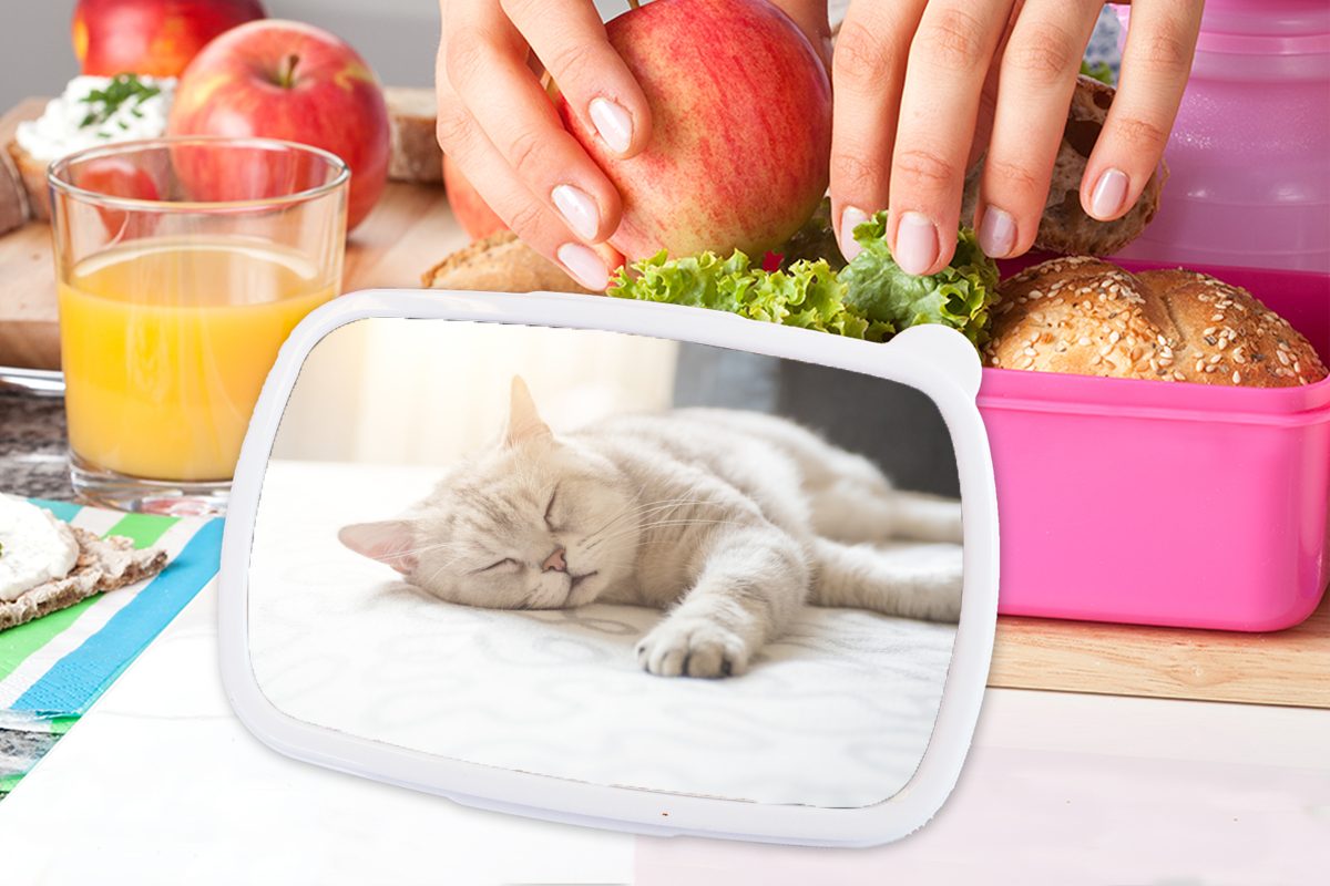 Mädchen, Kunststoff, für Katze auf Bett, Erwachsene, Brotbox schläft MuchoWow dem (2-tlg), Lunchbox rosa Snackbox, Kinder, Brotdose Kunststoff