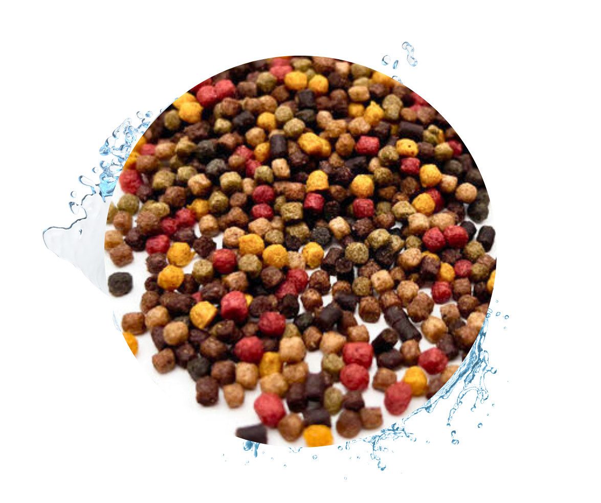 Warnick´s Tierfutterservice Koifutter 5-Sorten Mix mit Spirulina - in 3mm, 6mm oder 3-6mm 3mm, Alleinfuttermittel für: Koi, Zierfische, Teichfische