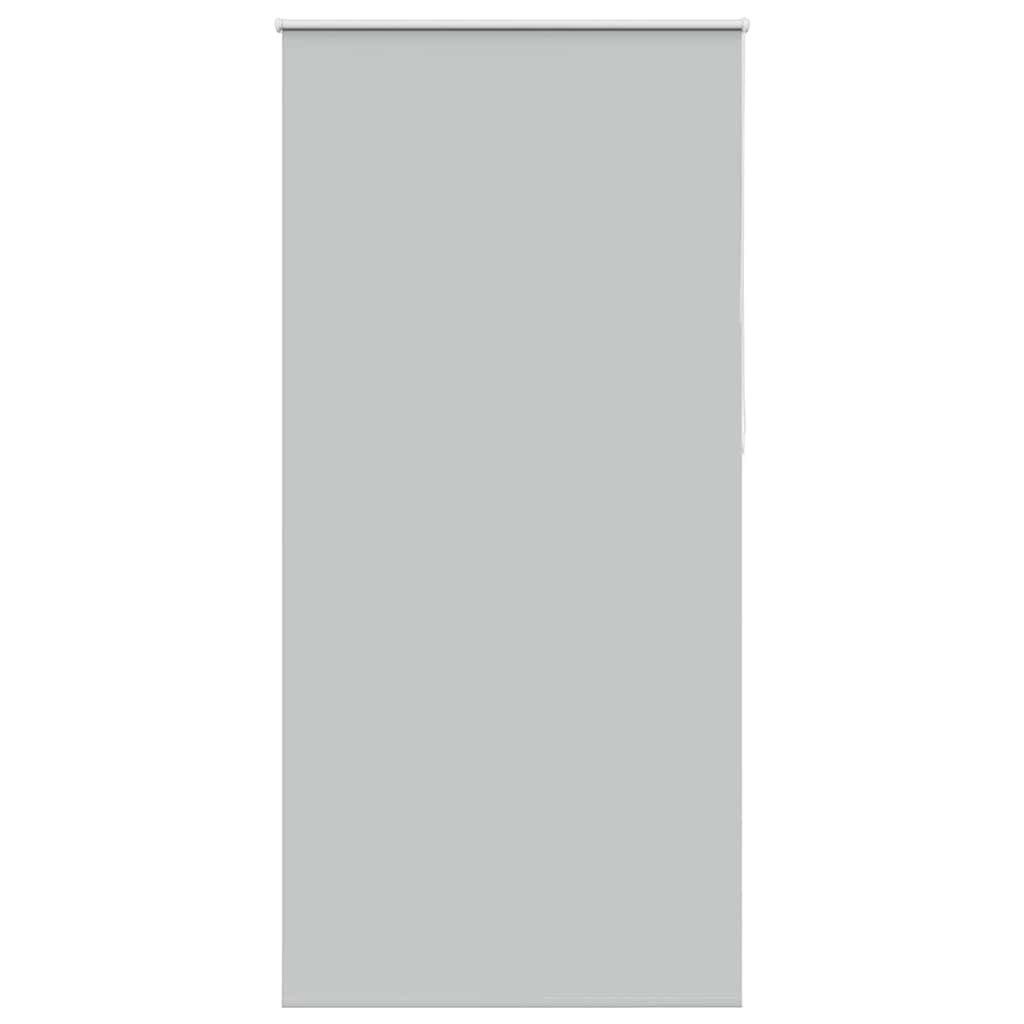 Verdunklungsrollo, vidaXL, Verdunkelungsrollo Hellgrau 100x230 cm günstig online kaufen