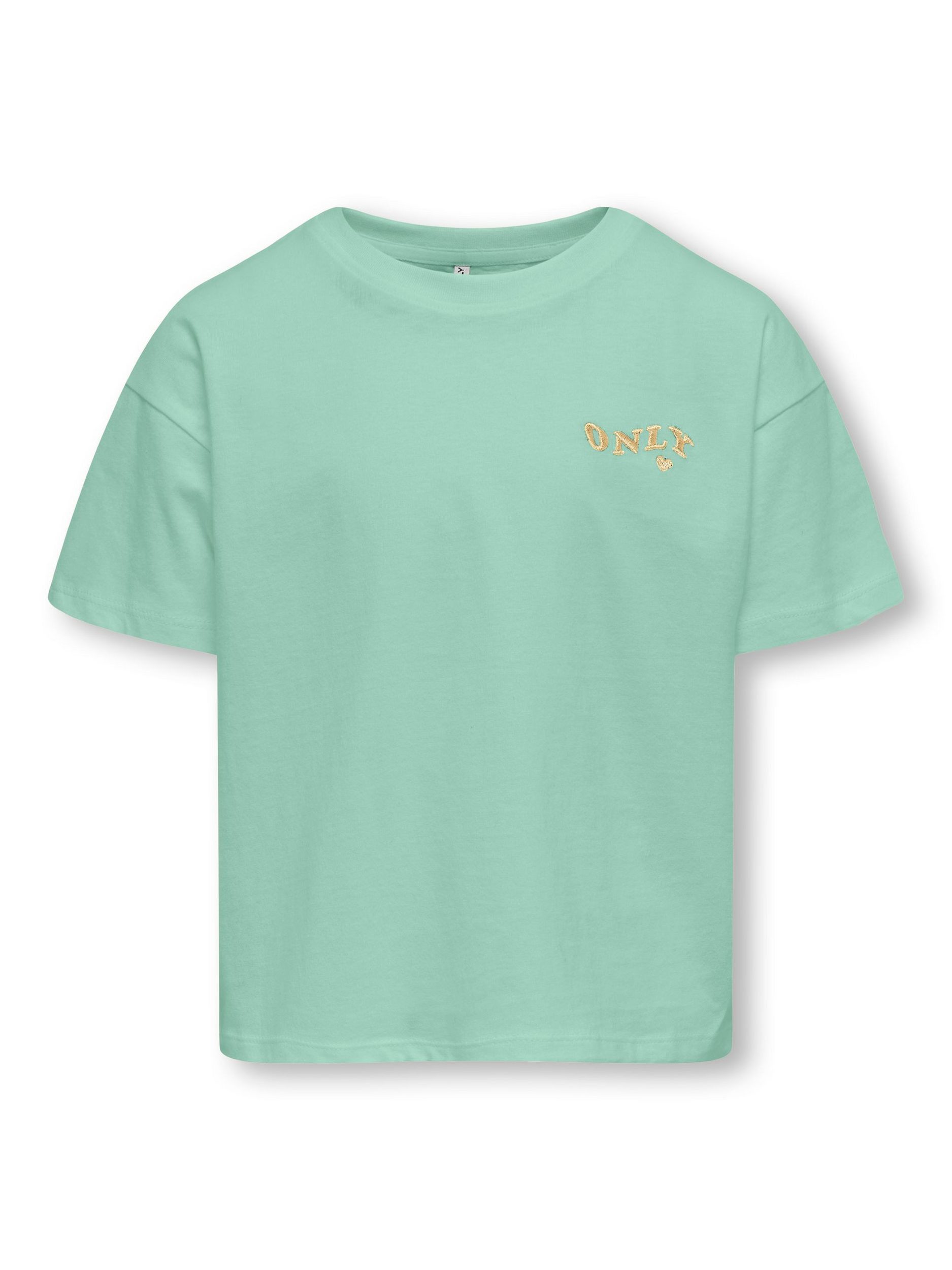 birds egg green