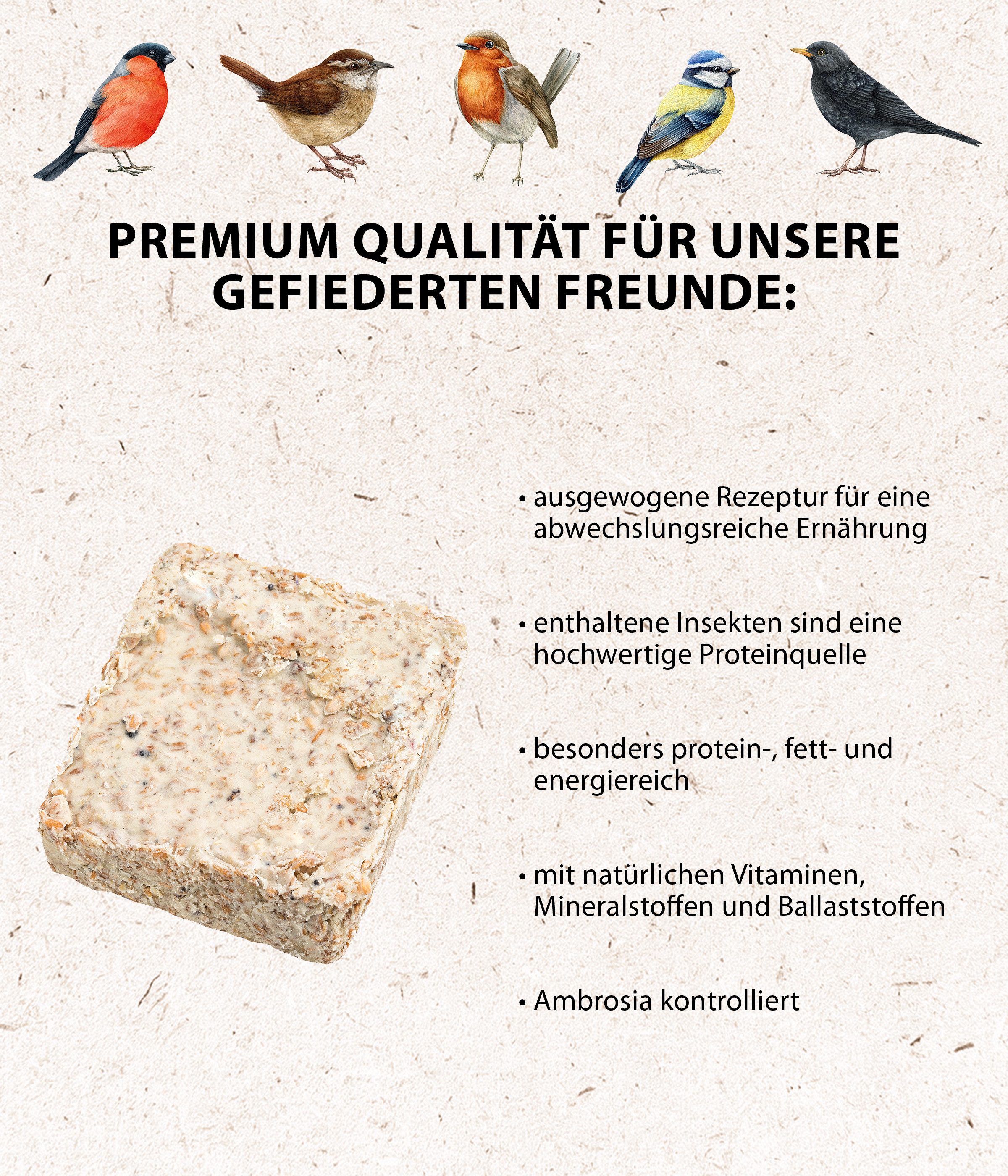 Dehner Natura Premium Futter-Tafeln, Wildvogelfutter, 12 x 300 g (3.6 kg), Hauptfutter für: Wildvogel, Gartenvögel, hochwertig mit Insekten, energiereiches Ganzjahresfutter