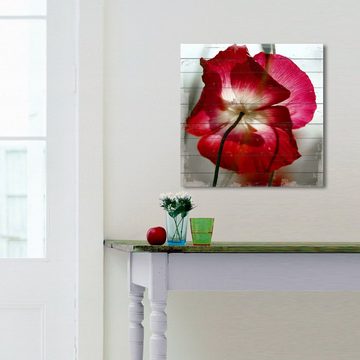 queence Holzbild Plank - Echtholz - Pansy - Stiefmütterchen - Blumen, (1 St), 50x50x2 cm - mit Aufhängung für die Wand