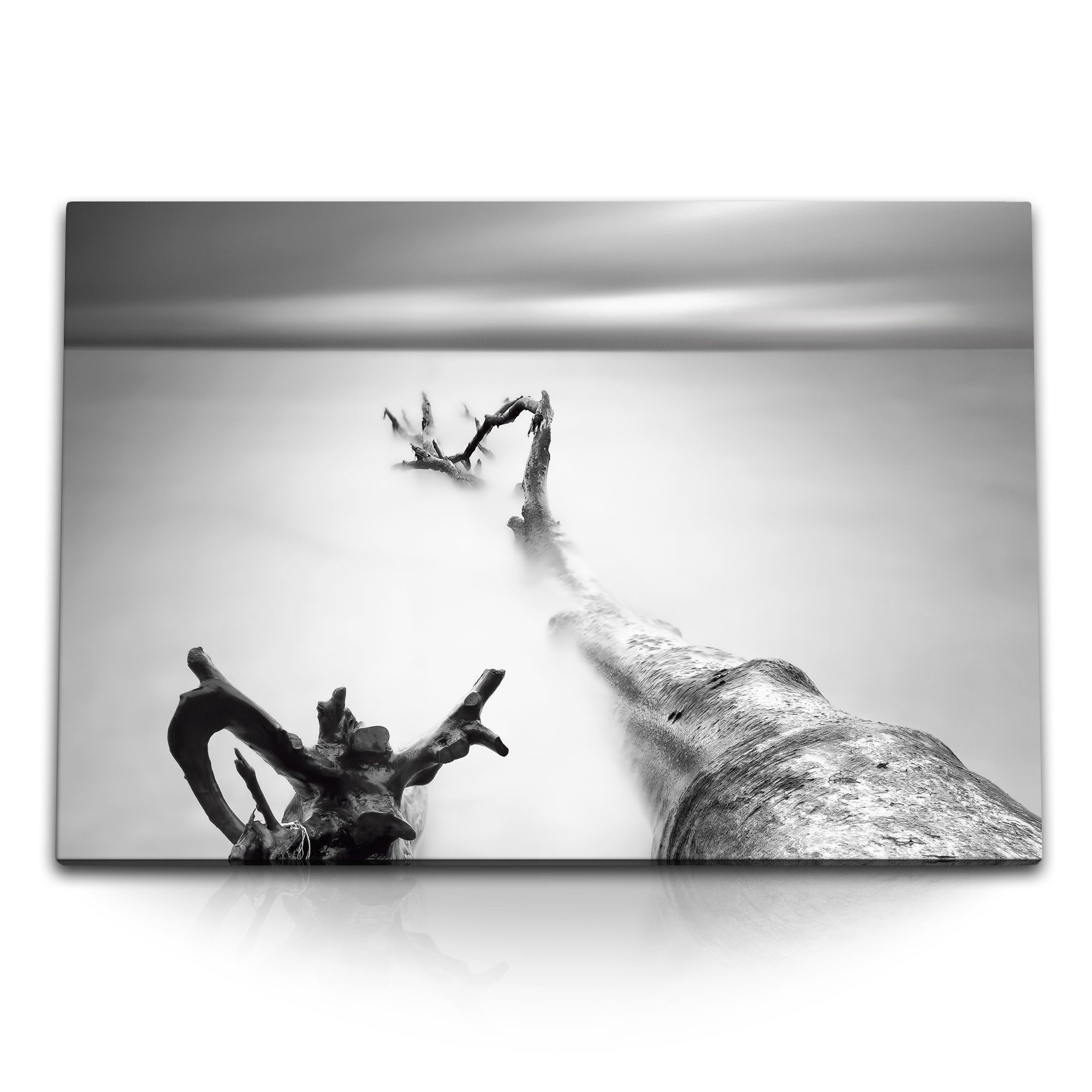 Leinwandbild 120x80cm Wandbild auf Leinwand Fotokunst Fineart Meer Strand Treibholz