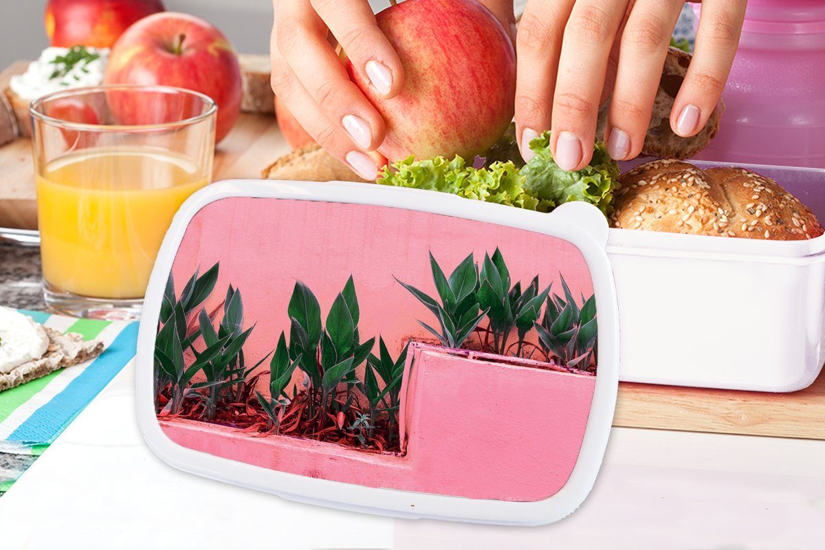 - Brotbox Kunststoff, und Farbe, Erwachsene, Brotdose, MuchoWow weiß - für Jungs Kinder und Pflanzen Sommer (2-tlg), Mädchen für Lunchbox