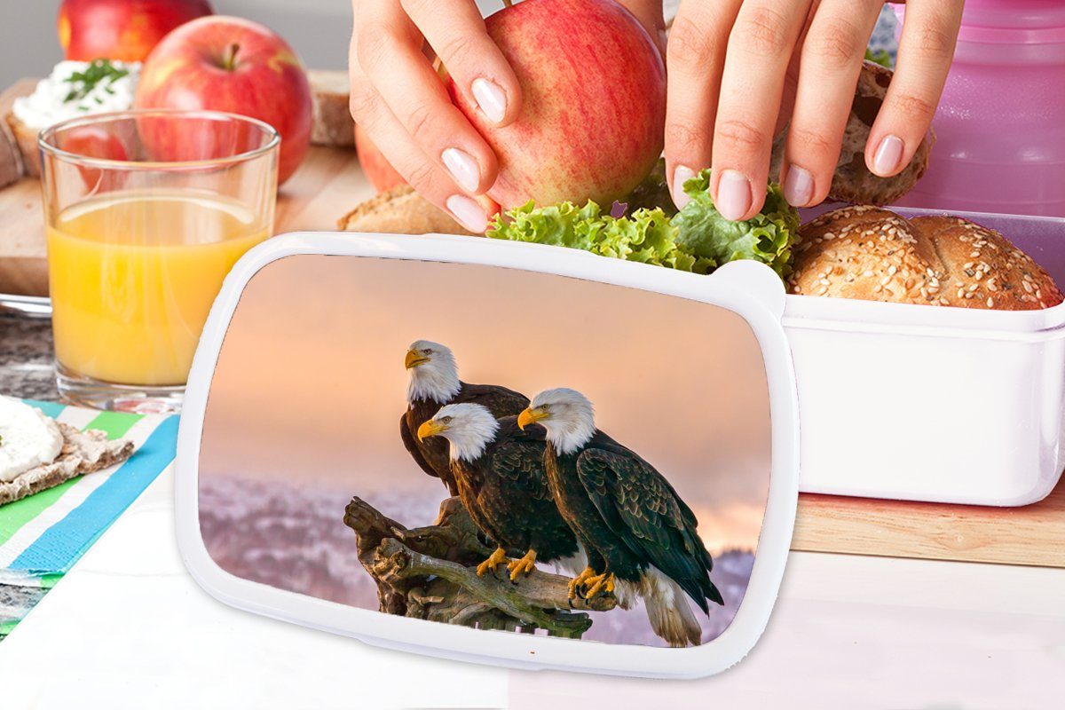Raubvögel Brotdose, und Jungs Kunststoff, Lunchbox - - (2-tlg), weiß MuchoWow für Natur Brotbox Adler, Vögel Erwachsene, Mädchen Kinder für - und