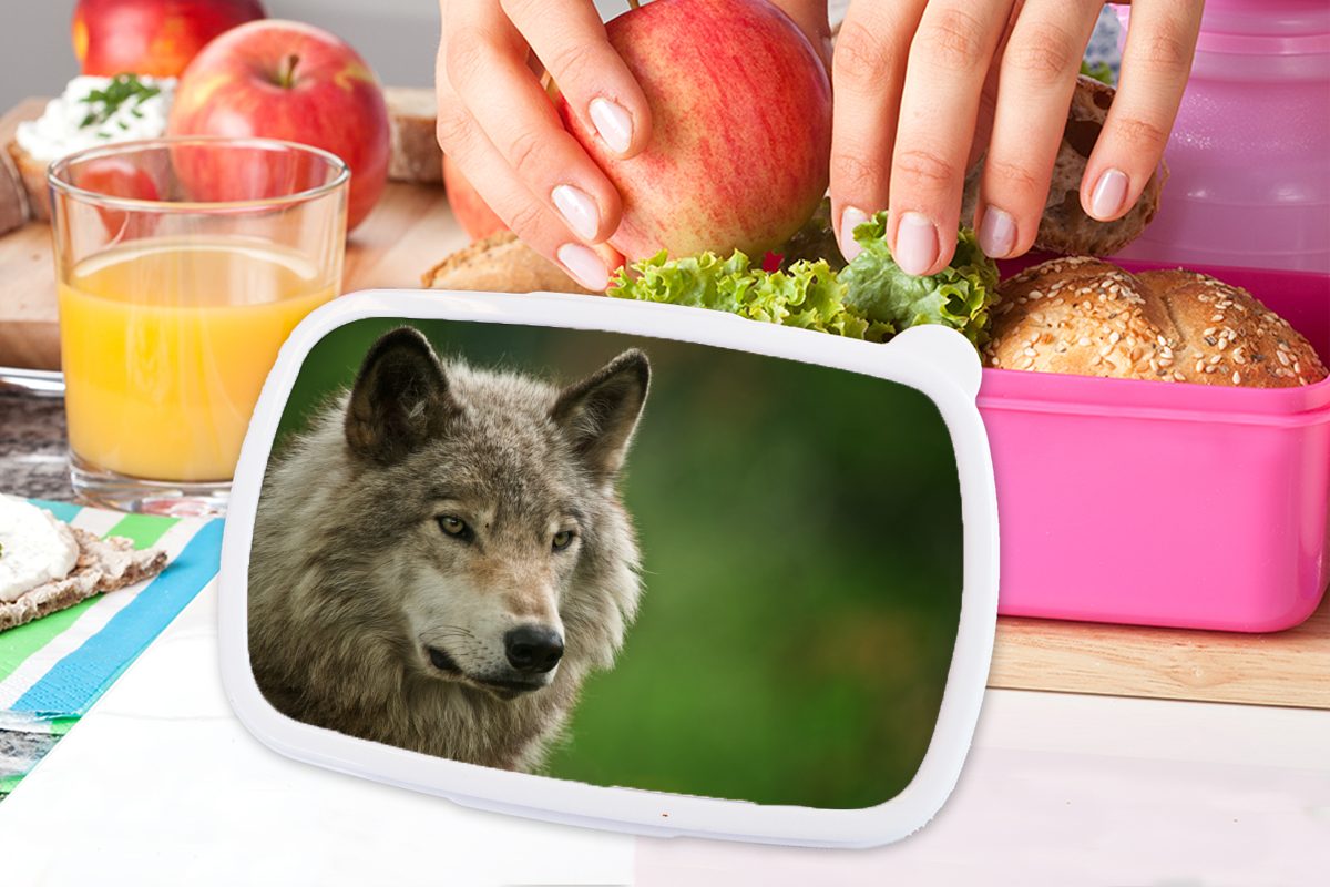 - für Brotdose Lunchbox Brotbox Kunststoff, Mädchen, rosa Grau MuchoWow Wolf Kunststoff (2-tlg), Kinder, Erwachsene, - Fell, Snackbox,