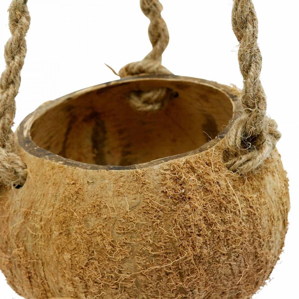 Viana Blumenampel Kokosnuss-Pflanzampel zum Hängen für kreative Dekoration günstig online kaufen