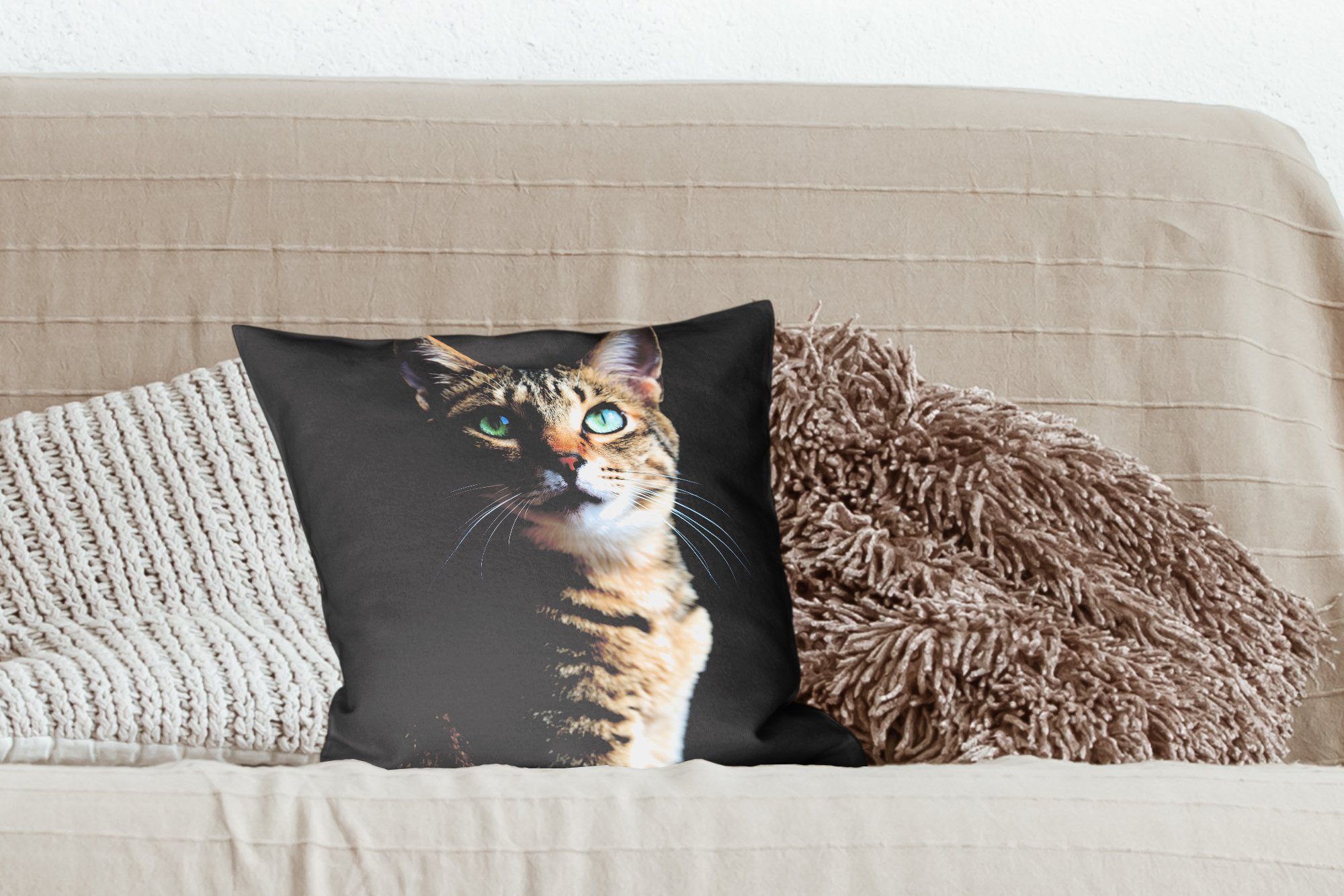 Zypresse Deko, für Füllung Wohzimmer, Zierkissen Katze, Dekokissen mit MuchoWow Sofakissen Schlafzimmer,