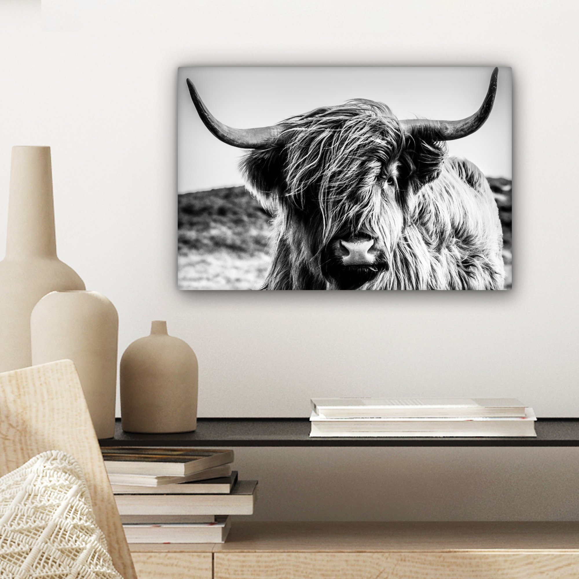 -, Schwarz - Schwarz 30x20 OneMillionCanvasses® Kuh bunt Weiß Leinwandbilder, Natur Schottisches Tier (1 St), - - Aufhängefertig, Hochlandrind Hochländer cm Wanddeko, Wandbild - - Weiß Schottischer Leinwandbild