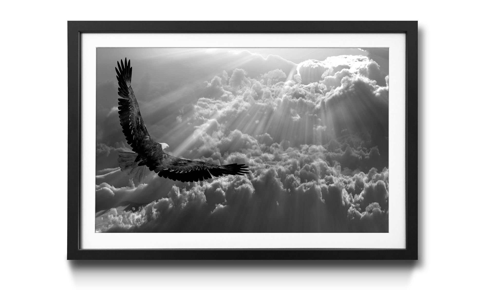 WandbilderXXL Kunstdruck Eagle in Flight, Tiere, Wandbild, in 4 Größen erhältlich