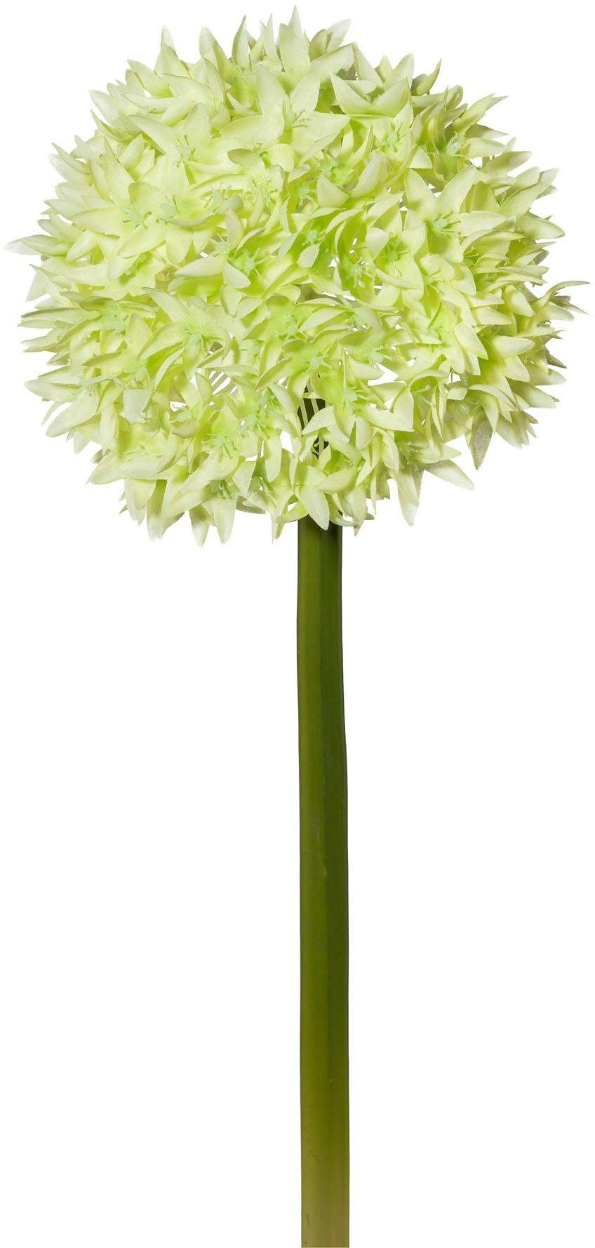 Kunstblume, Creativ green, Höhe 65 cm, 2er Set